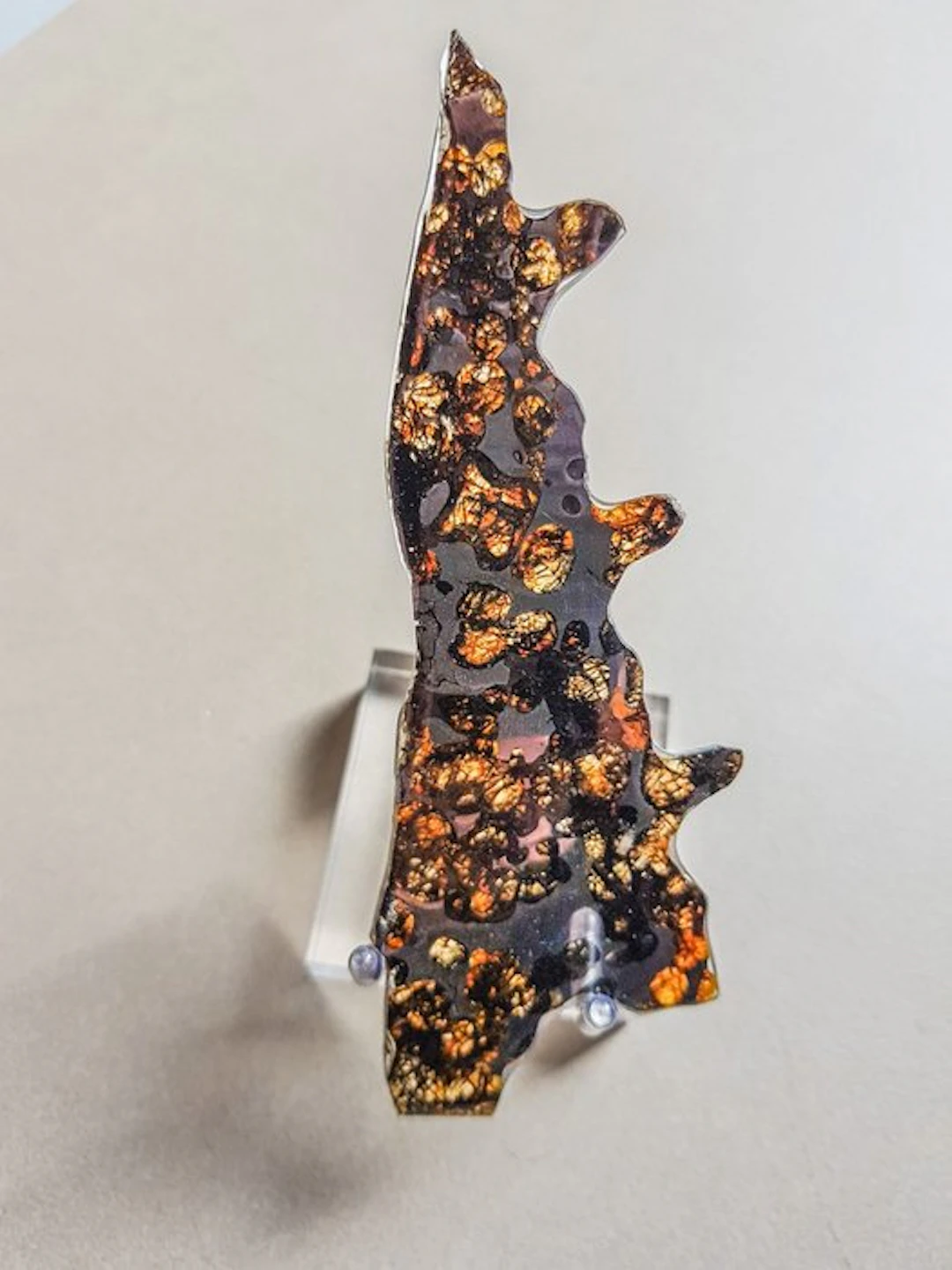 Pallasite Sericho pallasite - Height: 13 cm - Width: 3 cm - 17.5 g