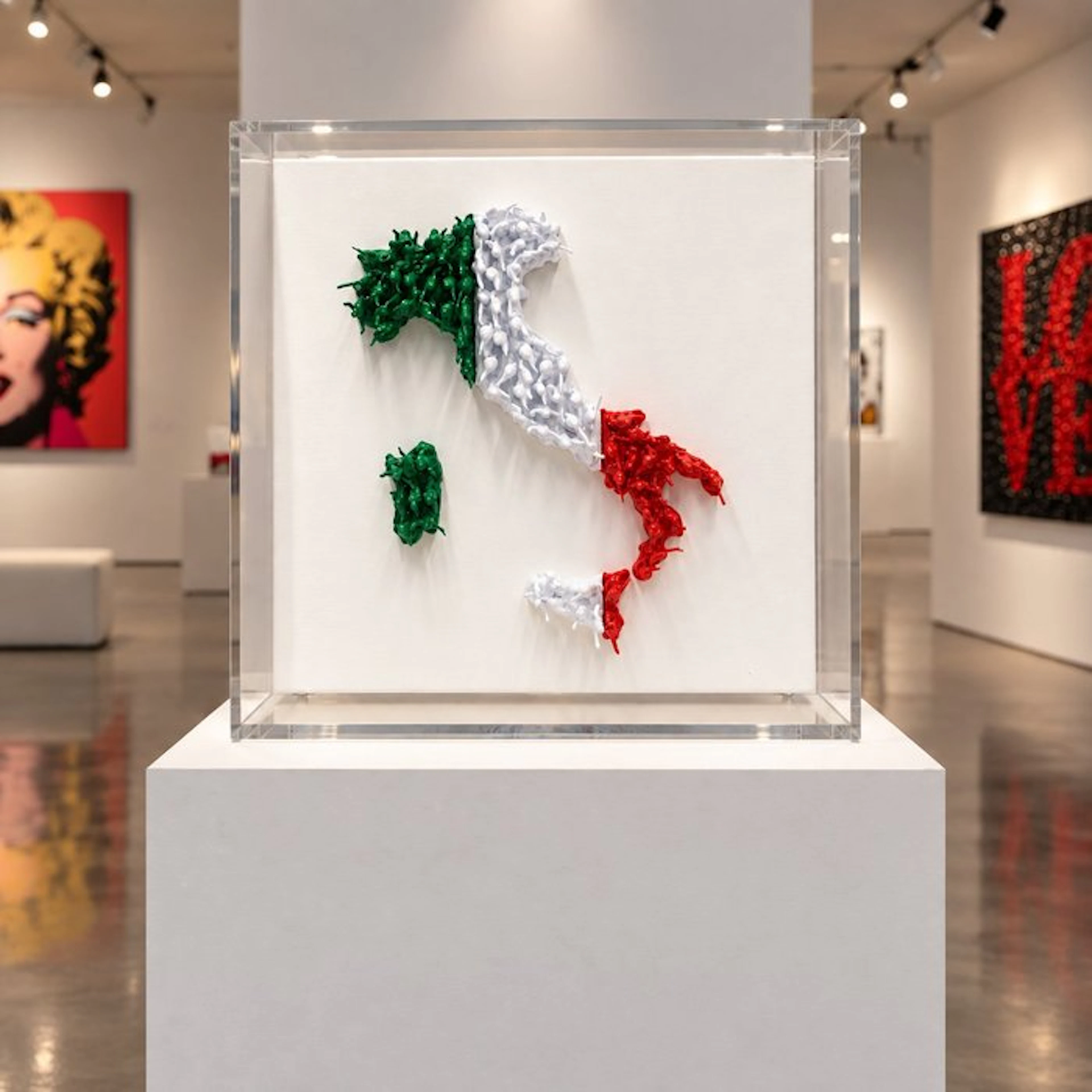 Alessandro Padovan (1983) - ITALY (con Teca in Plexiglass)