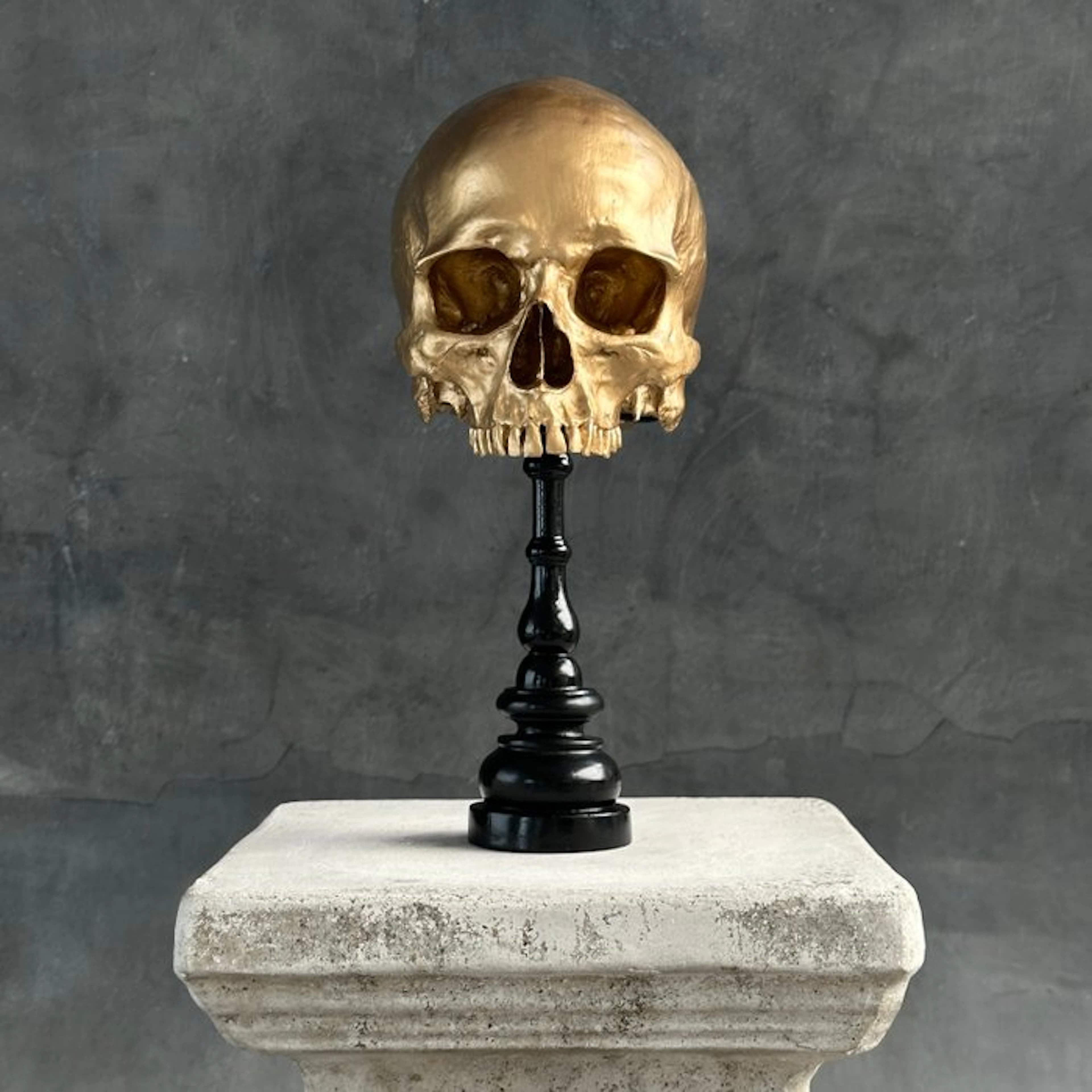 NO RESERVE PRICE - Stunning Replica Of Upper Human Skull...