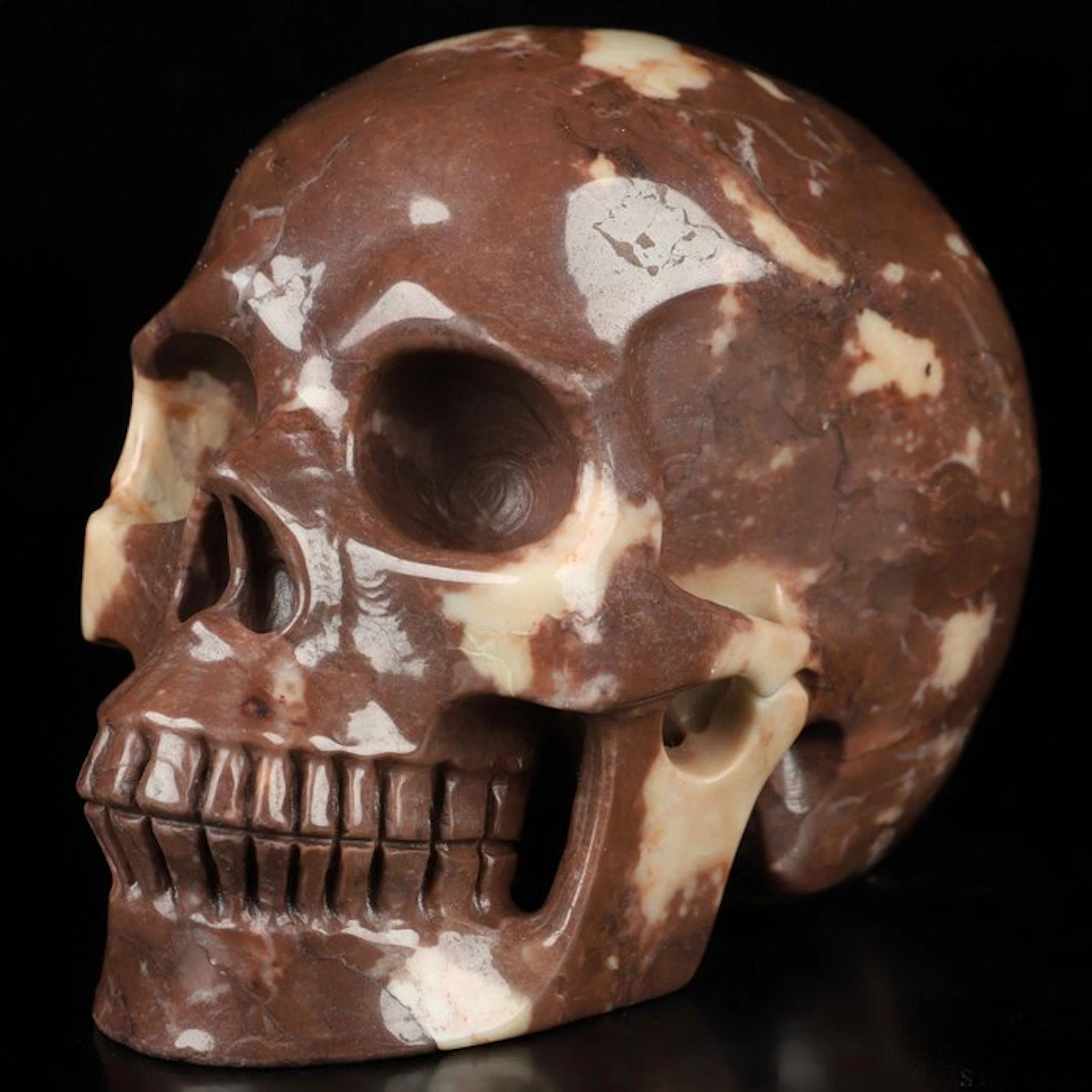 1.007 kg 11.50 x 8.50 cm Australia Outback Jasper Skull...