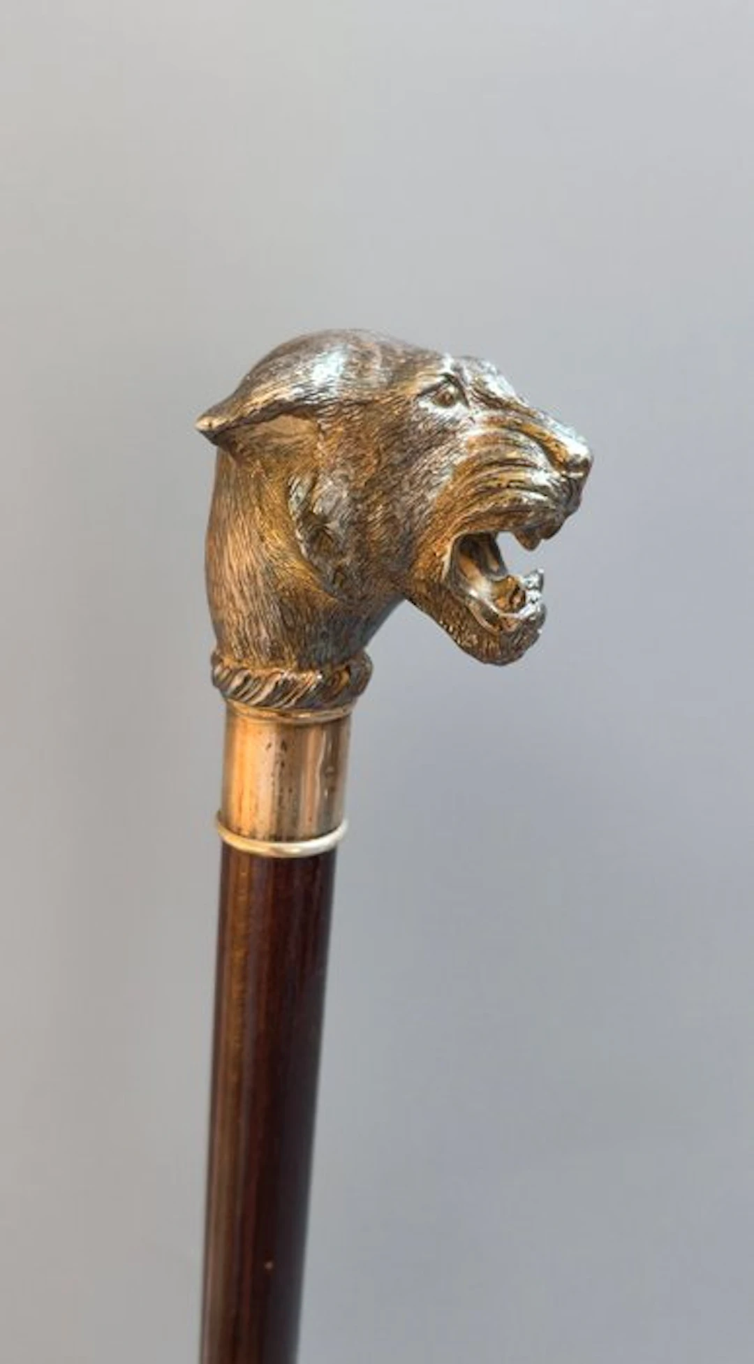 Walking stick - Silver