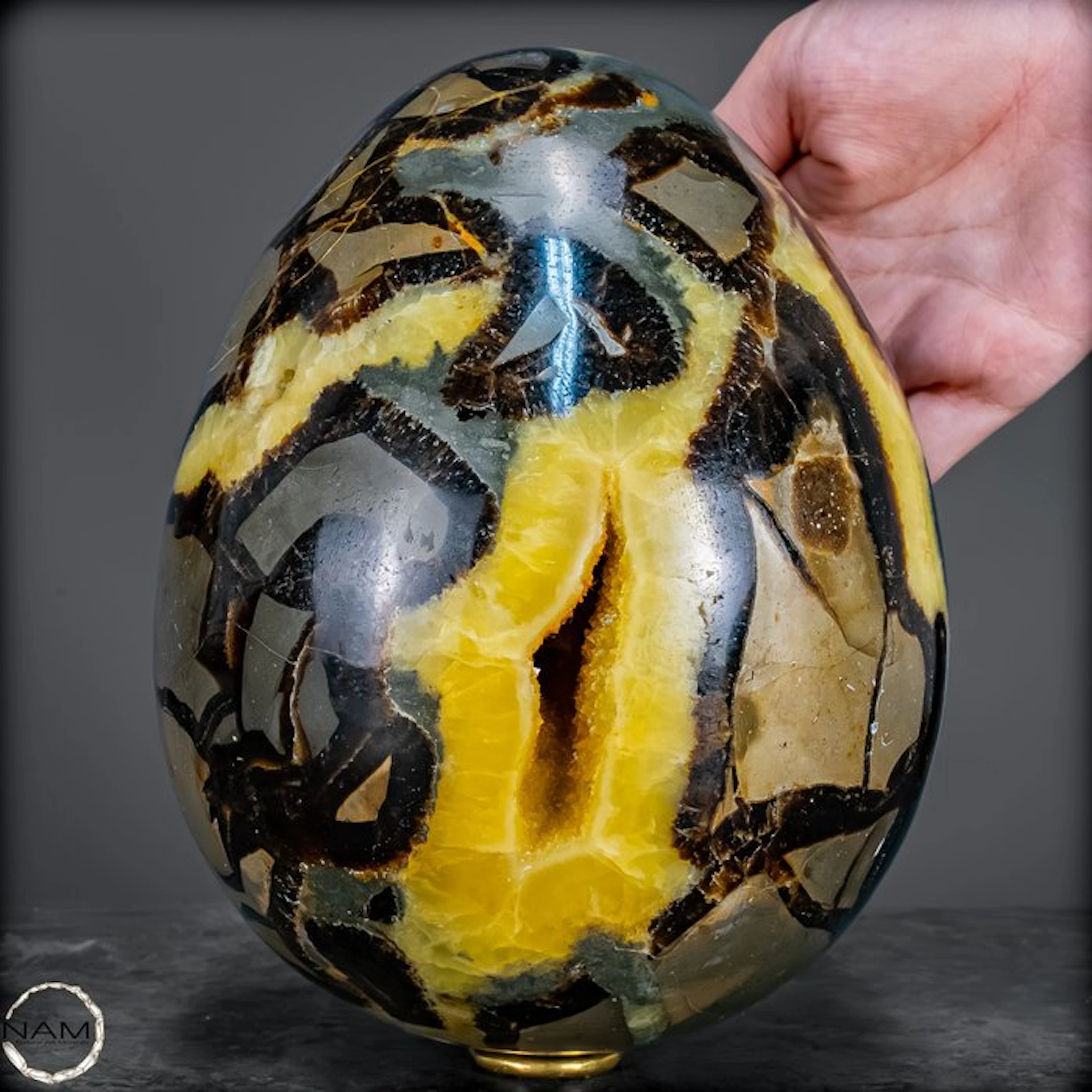 Fascinating septarian egg – The magic of primeval forms and colors- 4576.67 g