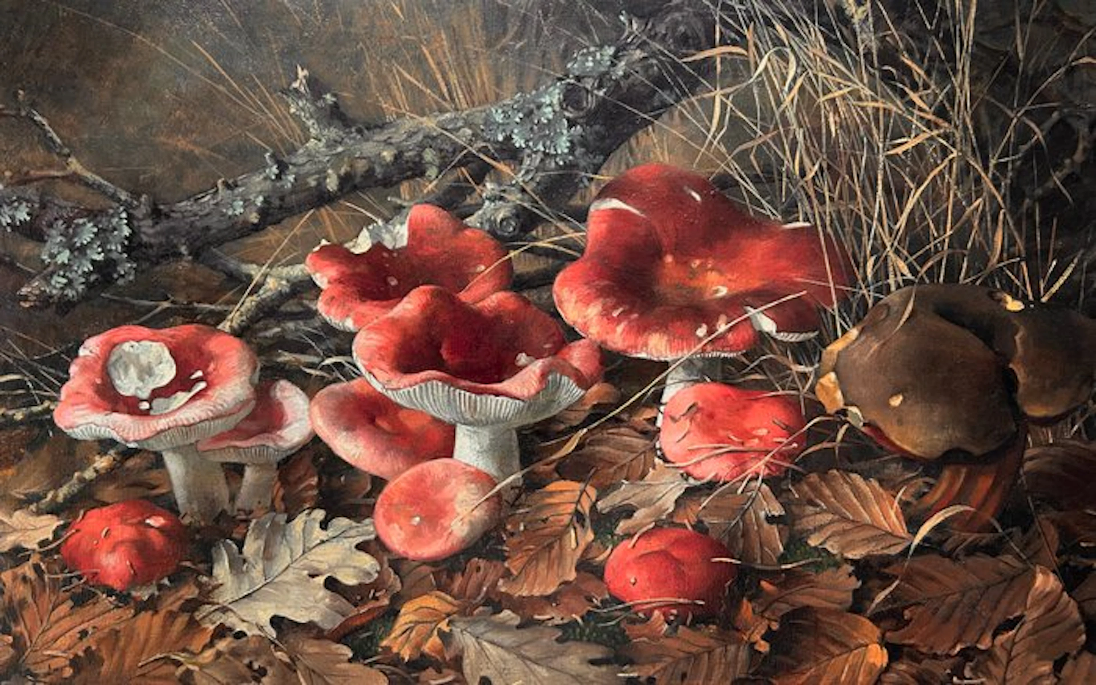 Jan Voerman Jr (1890-1976) - Paddenstoelen tussen gevallen blaadjes