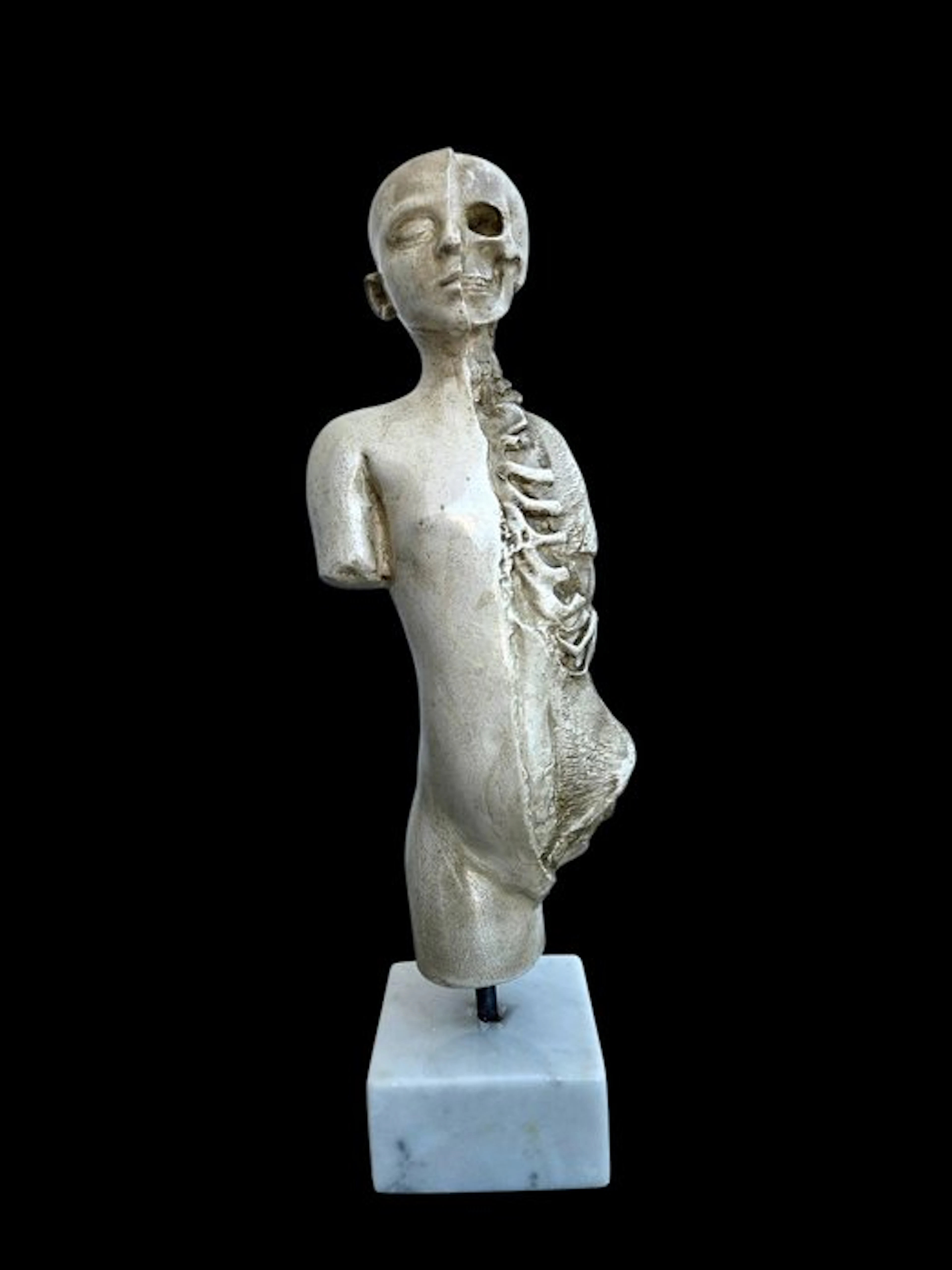 Figure - Torso Anatomico - Marble powder