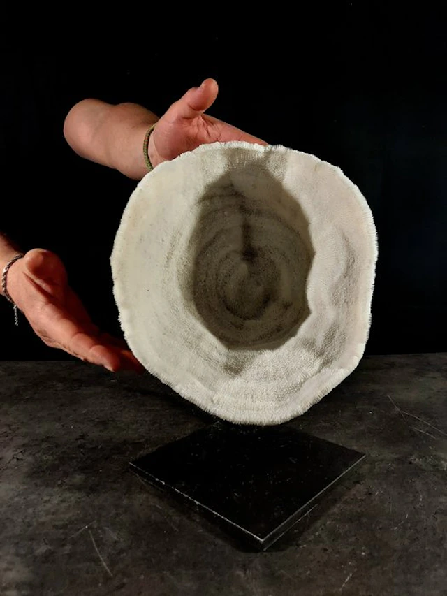 Fascinating natural coral bowl