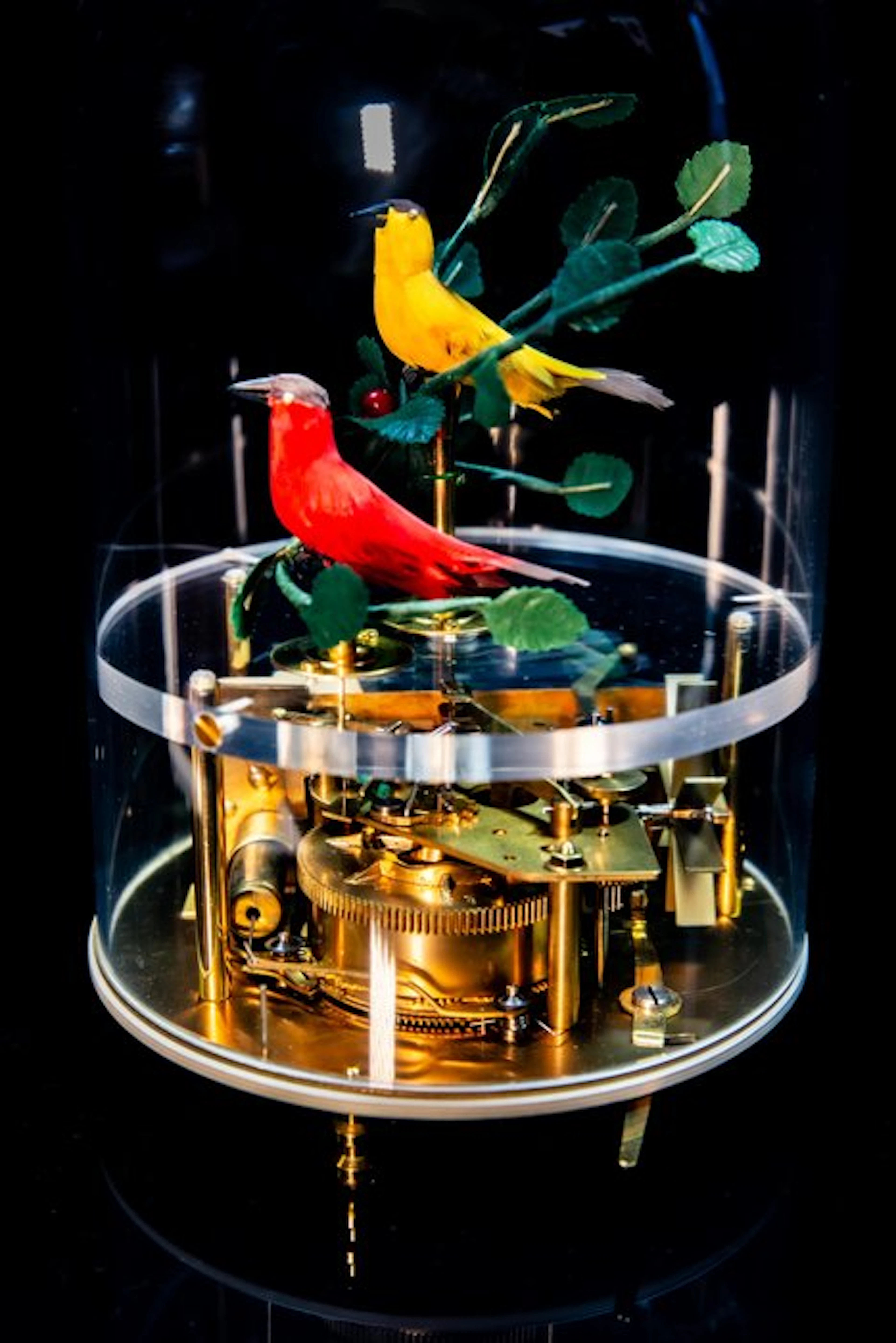 Muziekdoos vogel automaat automaton MMM GmbH bird cage...
