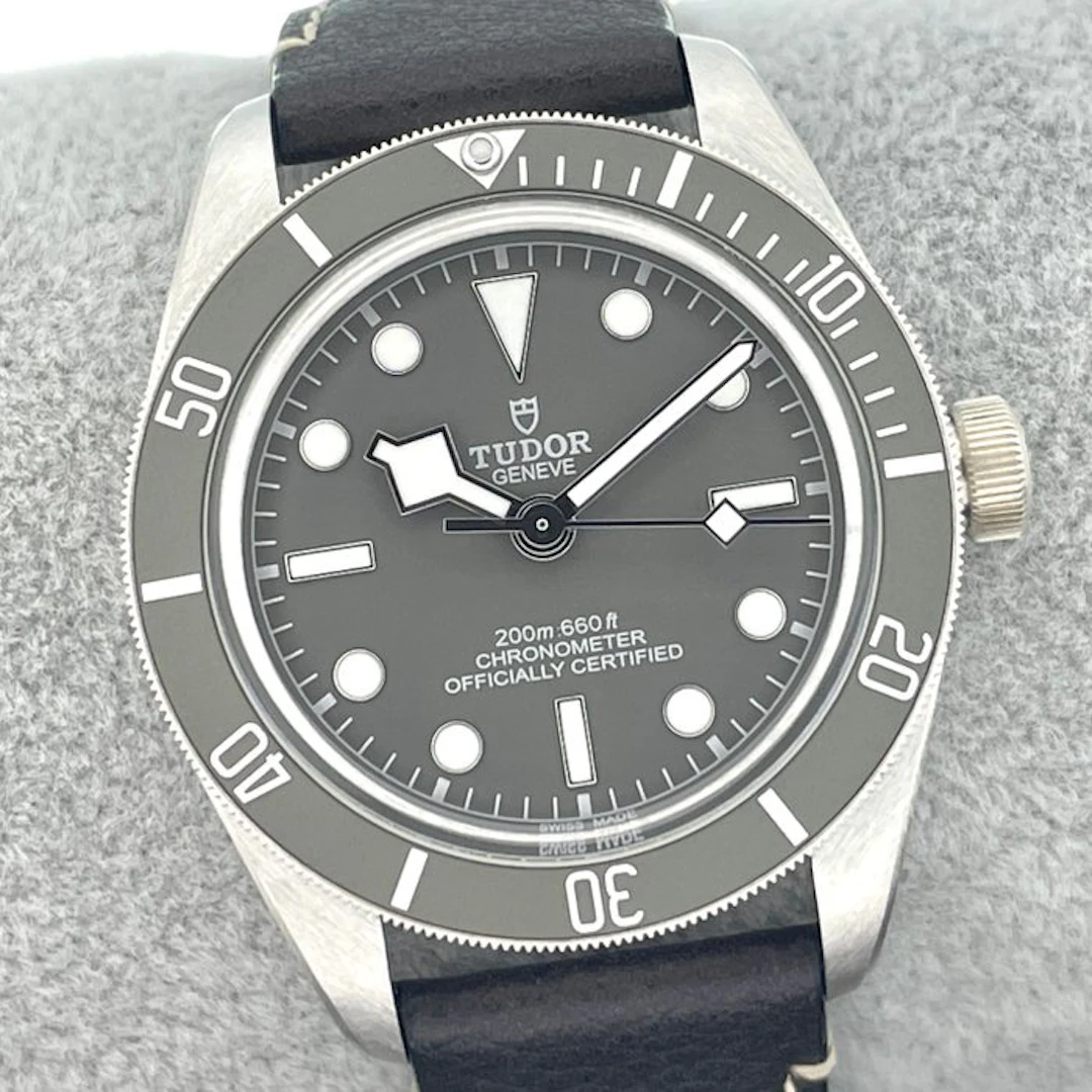 Tudor - Black Bay - 79010SG - Men - 2021