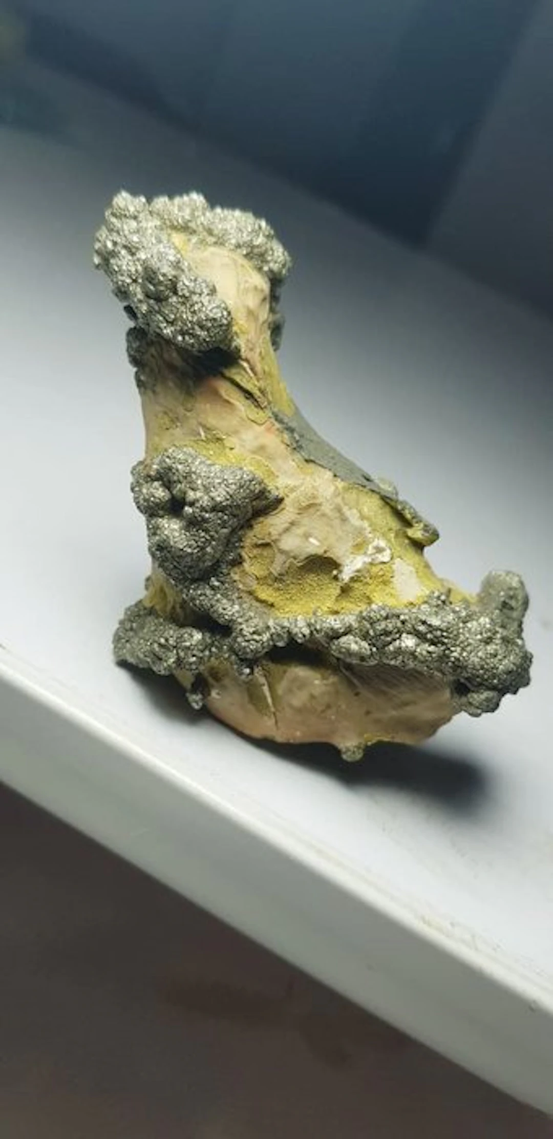Dog shaped Pyrite Mineral Collection - Height: 71 mm - Width: 60 mm-