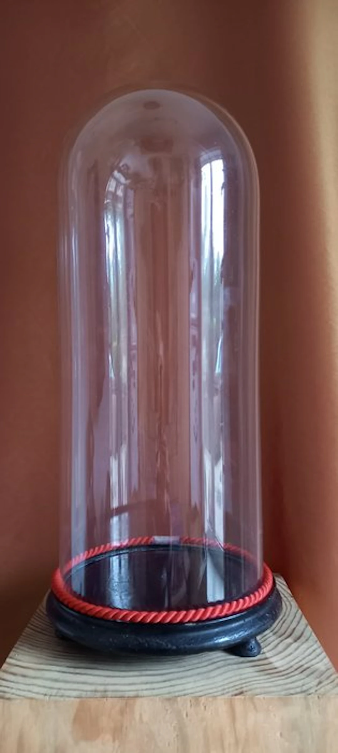 Bell jar - Glass, Wood - 1850-1900 - Antique glass dome - 52.5 cm