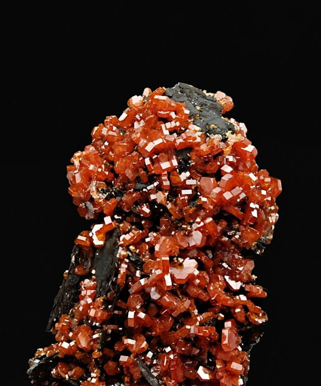 Blood-Red Vanadinite Storm on Black Goethite Crystals on...
