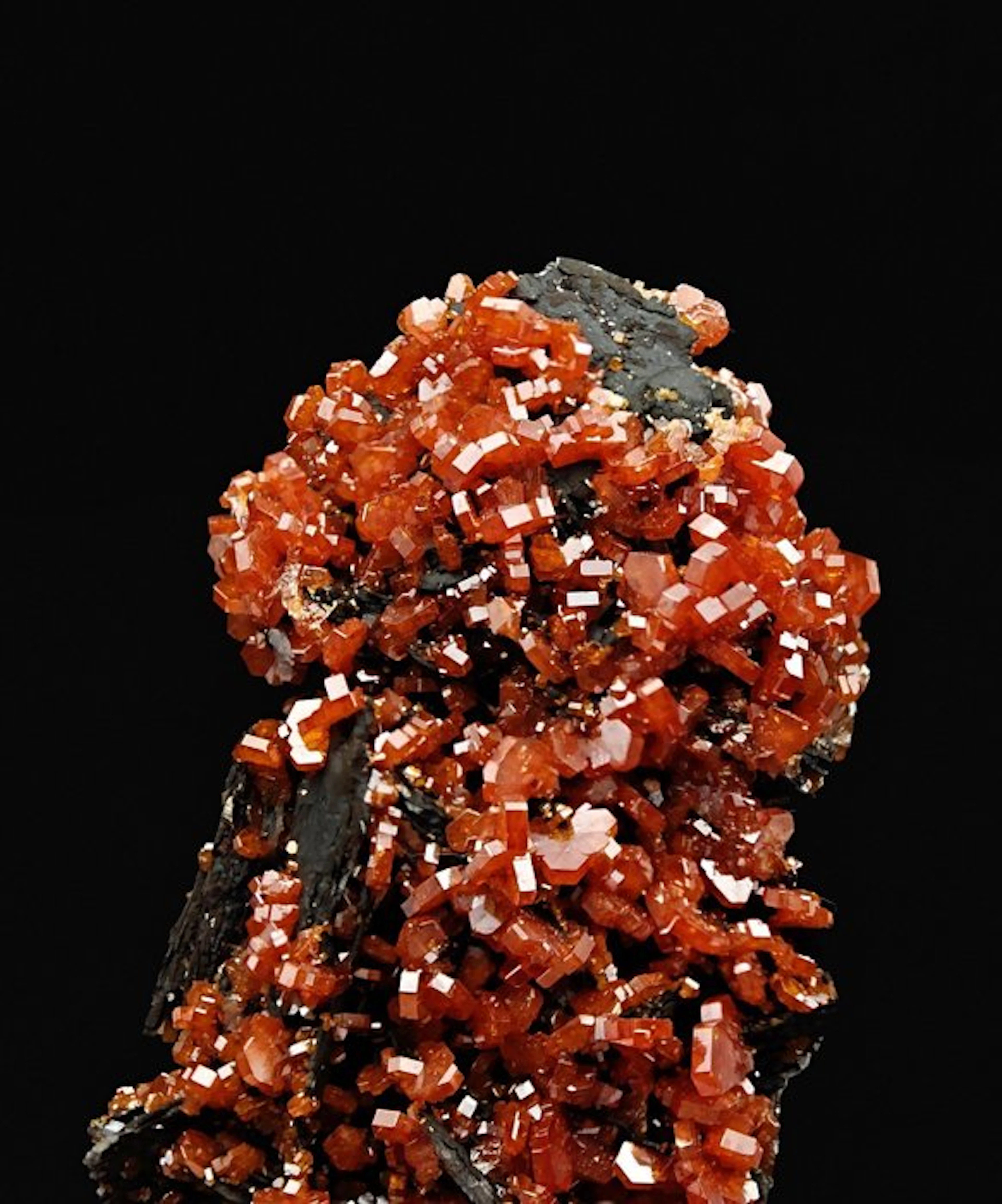 Blood-Red Vanadinite Storm on Black Goethite Crystals on...