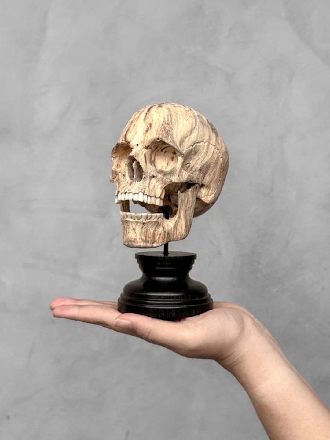 Carving, Wooden Human Skull With a beautiful grain on a...