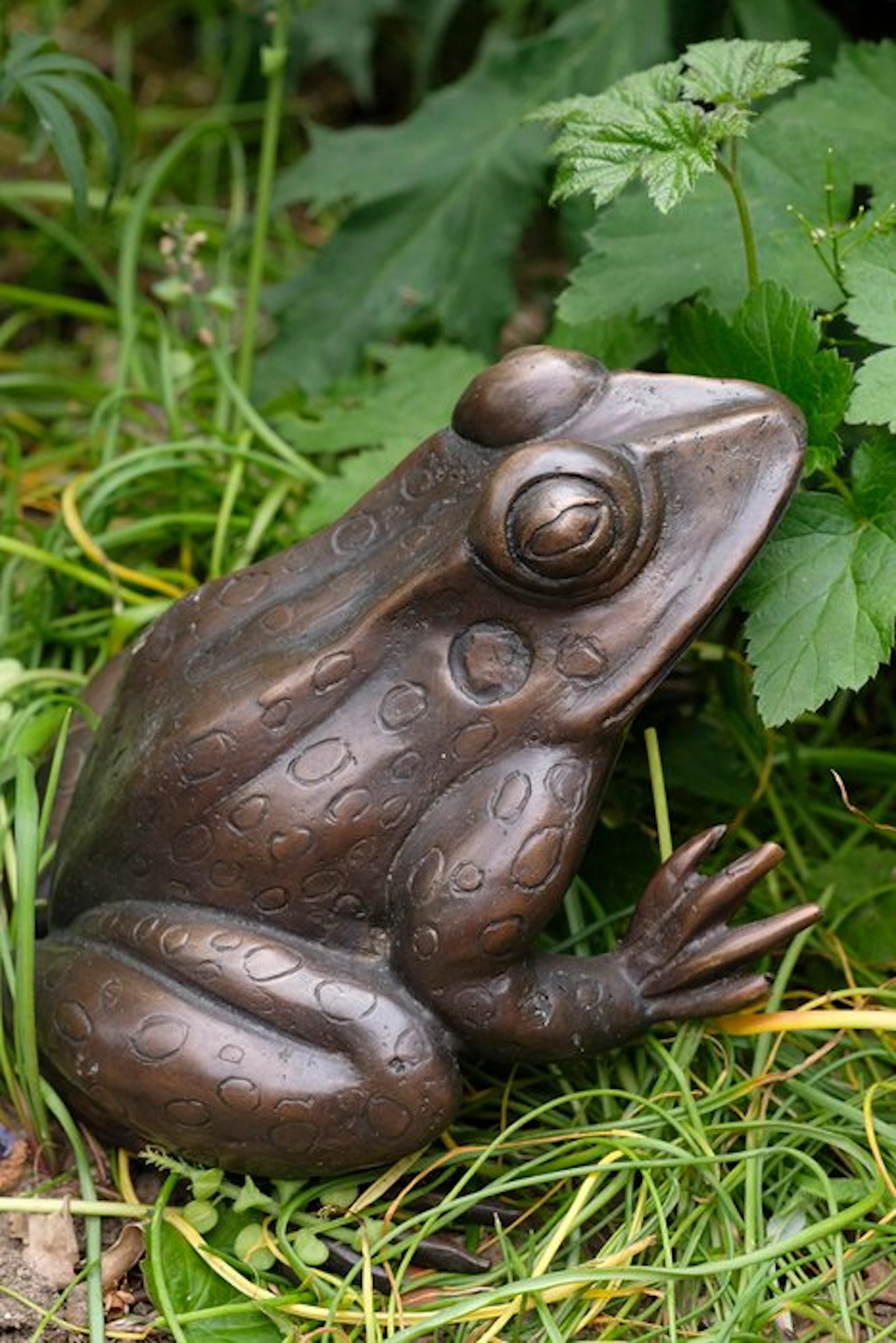 Sculpture, Charming Frog - 2.6 kg - 15 cm - Bronze
