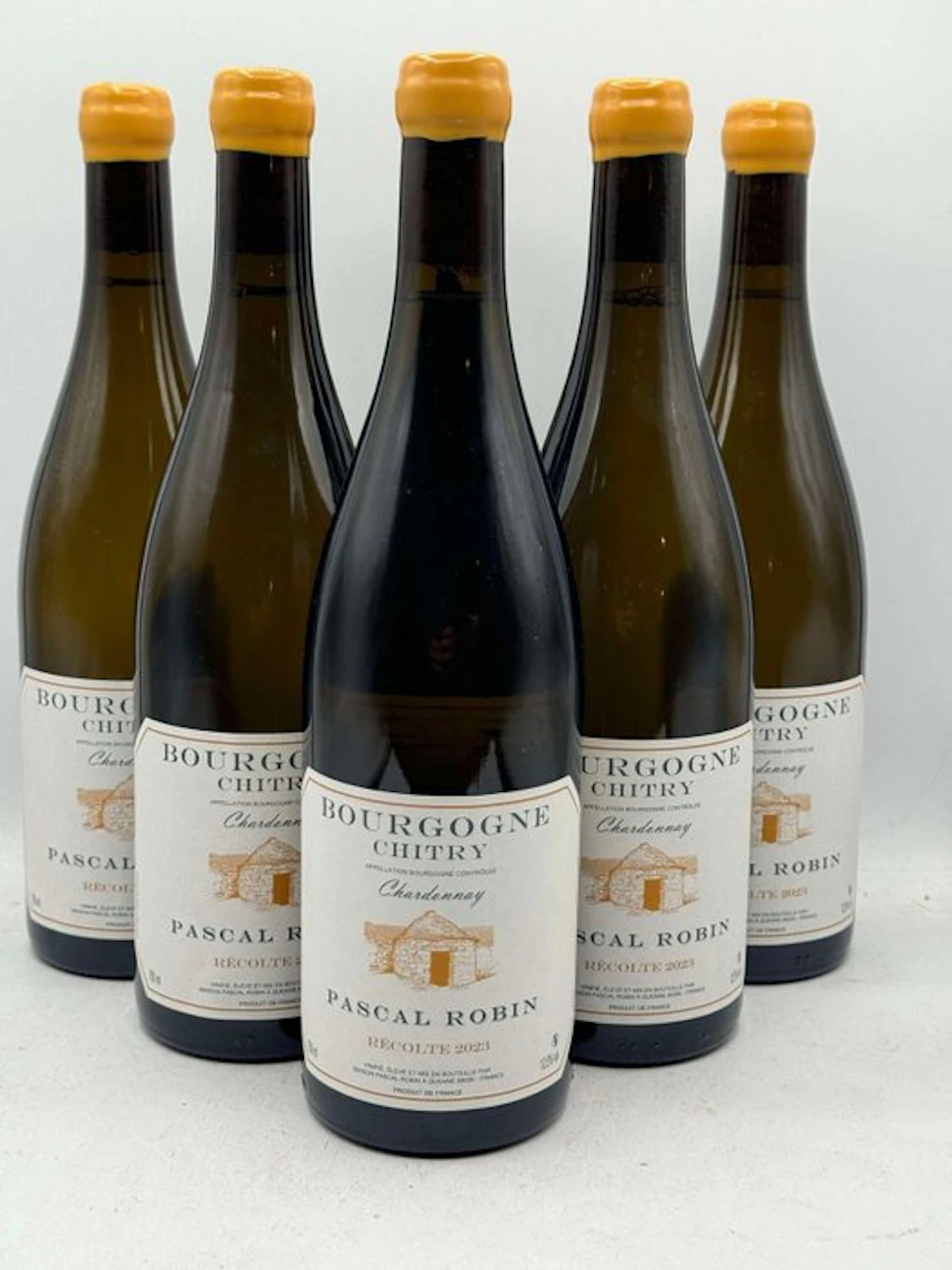 2024 Pascal Robin Bourgogne "Coteaux de Chitry" - Bourgogne - 6 Bottles (0.75L)