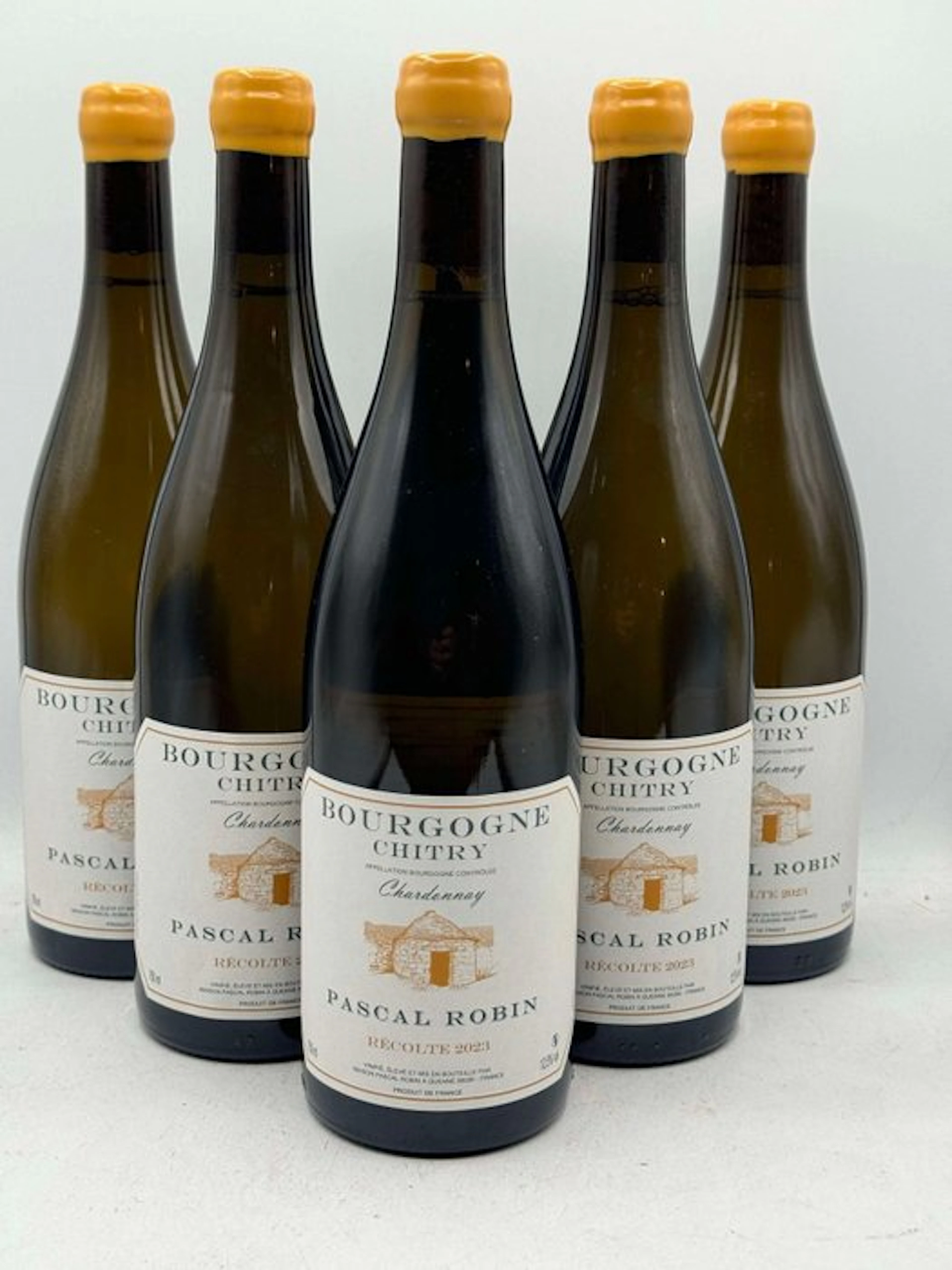 2024 Pascal Robin Bourgogne "Coteaux de Chitry" - Bourgogne - 6 Bottles (0.75L)