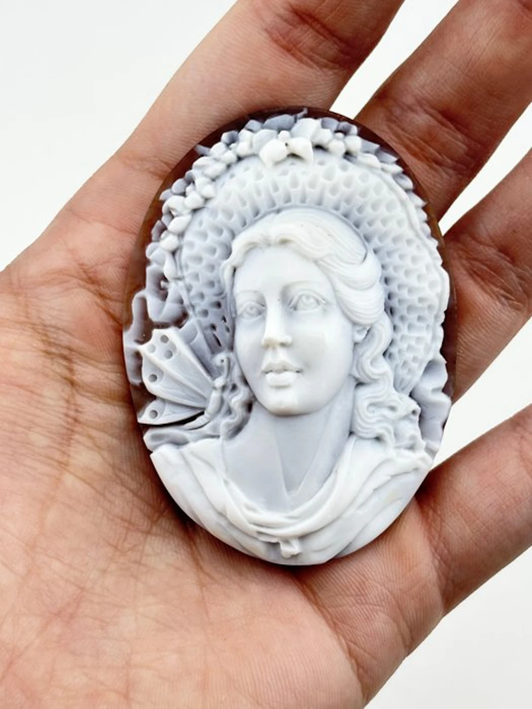 Cassis madagascariensis 'Primavera' - Cameo - Hand-engraved cameo