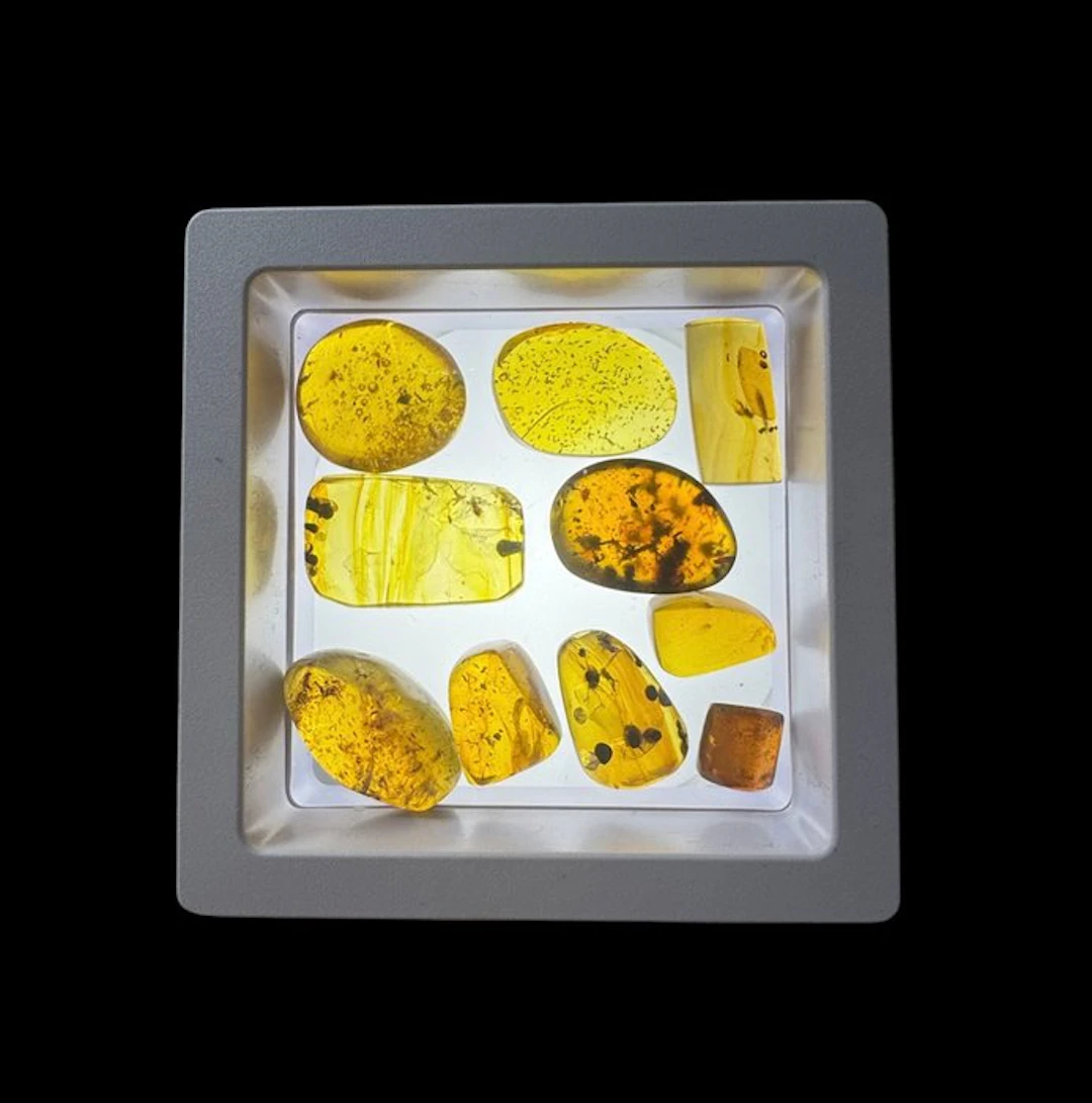 Burmese amber - Amber - Lot of 10 Burmese Amber Specimens...