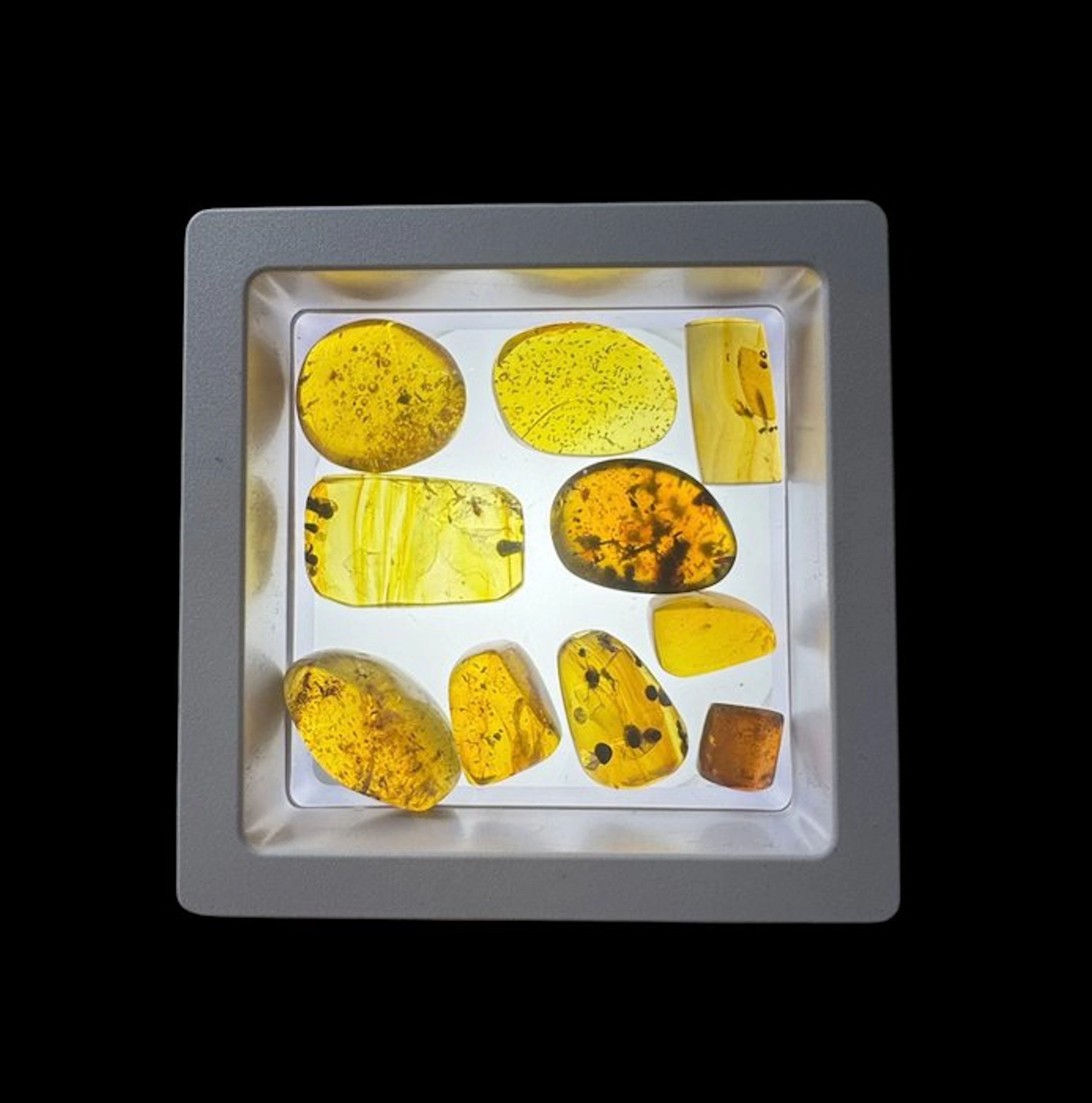 Burmese amber - Amber - Lot of 10 Burmese Amber Specimens...