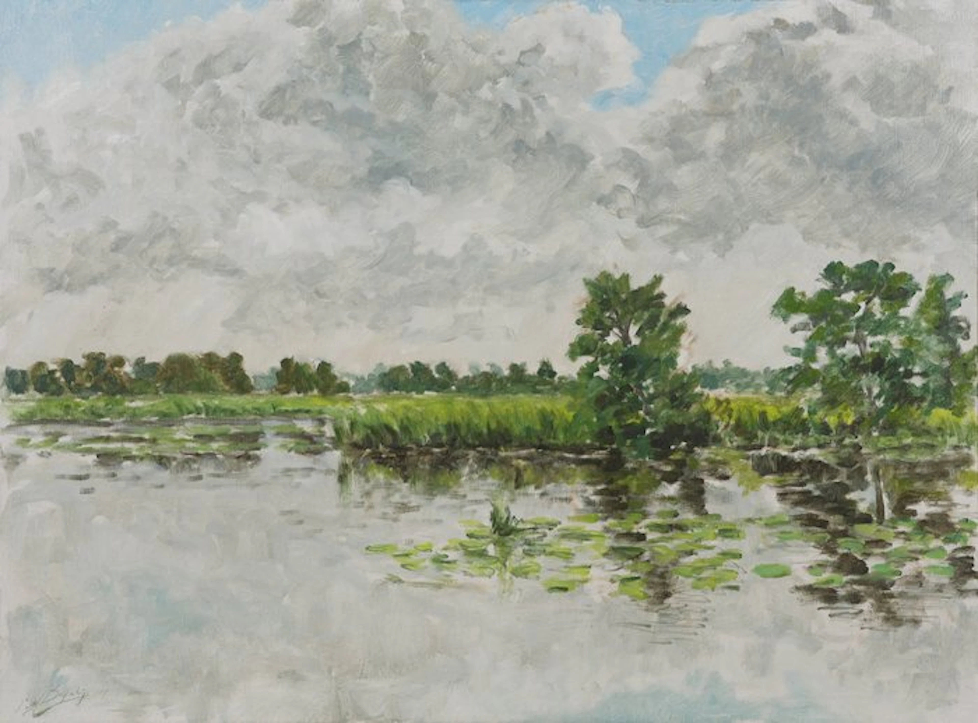 Herman Buijtenhuijs (1944 - 2010) - Petgat - Scherpenzeel - Friesland I