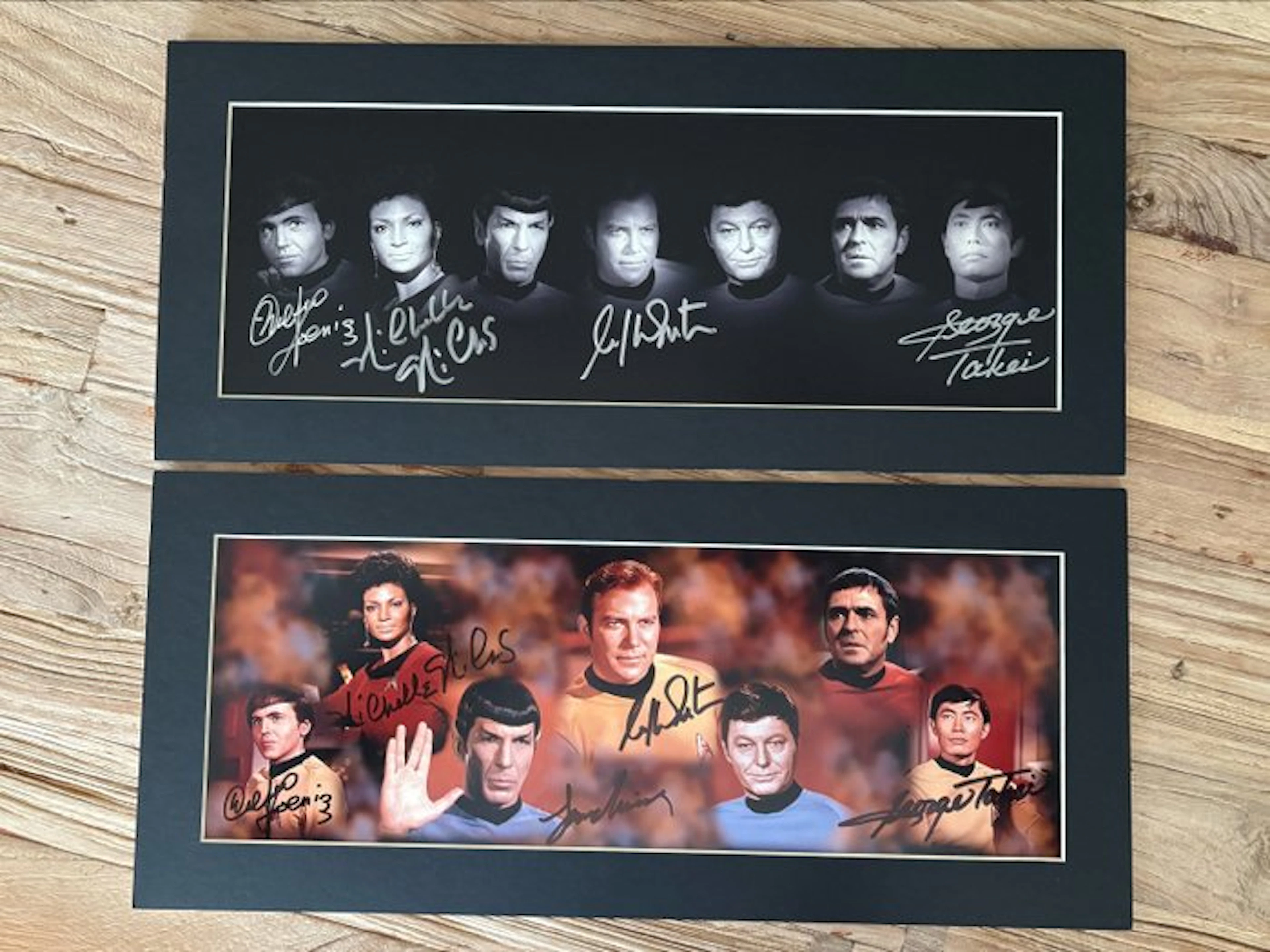 Star Trek - Original cast Multi-signed panorama displays...