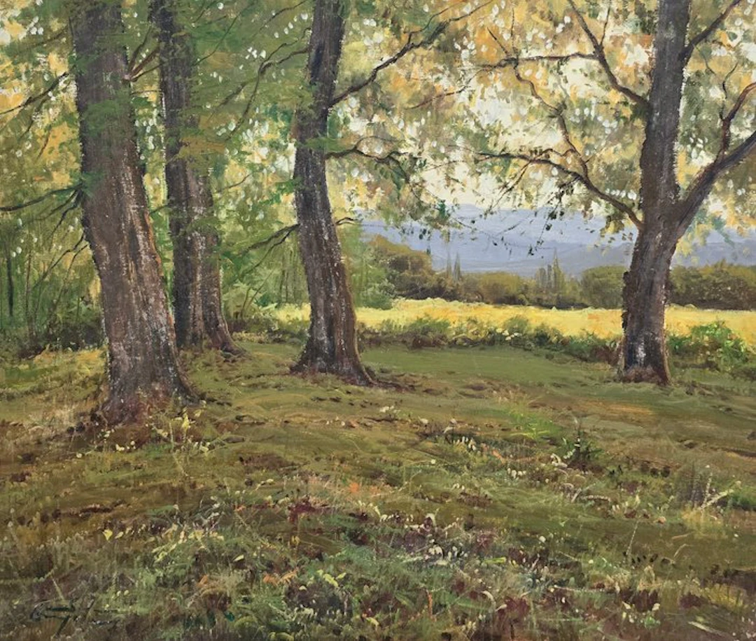 Ricardo Solé Gonzalez (1959-2018) - El campo entre las ramas