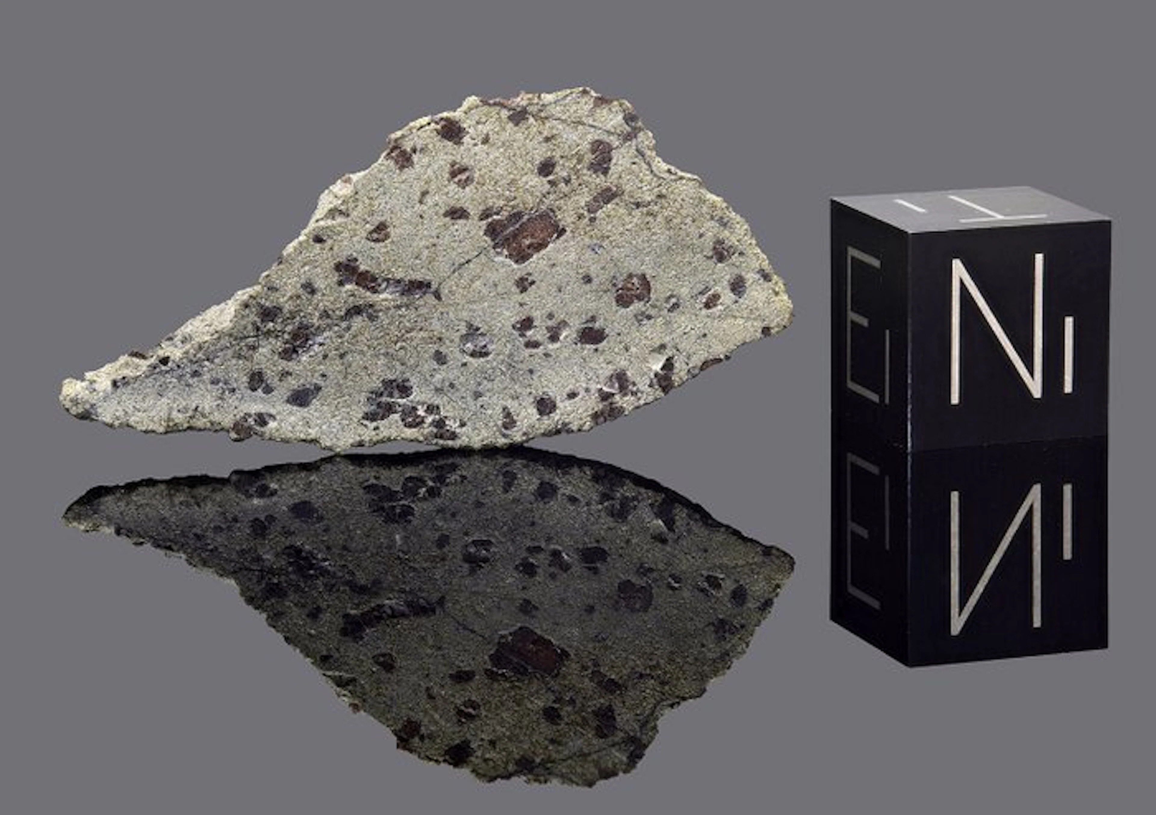 Martian meteorite Tarkint 001 Slice - 2.43 g - (1)