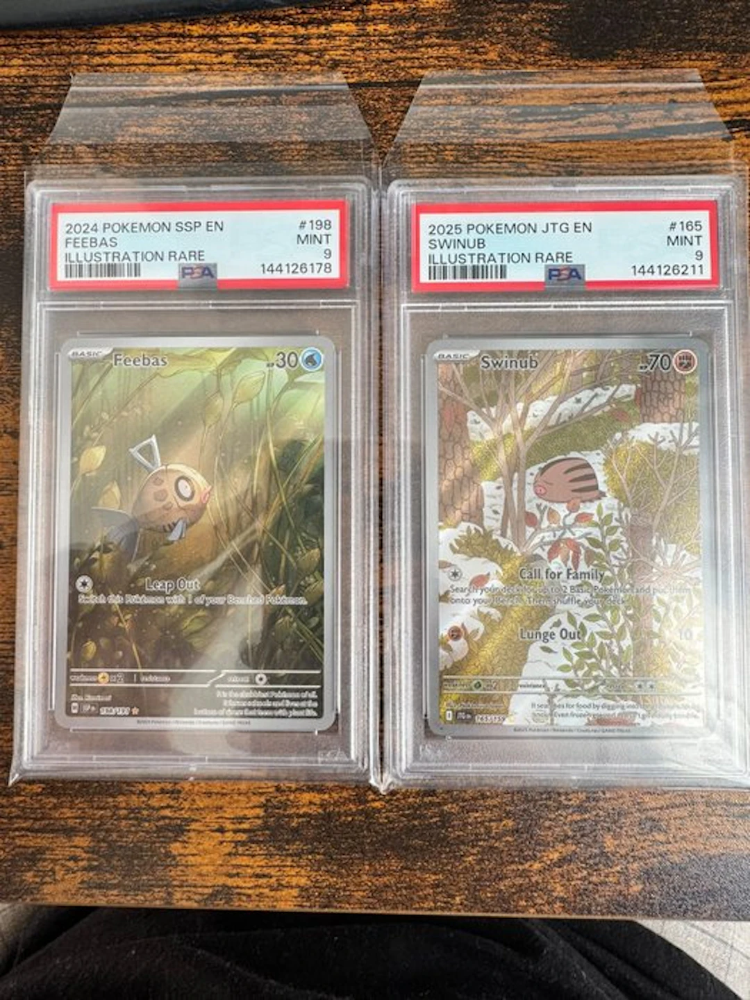 Pokémon - 2 Graded card - Swinub