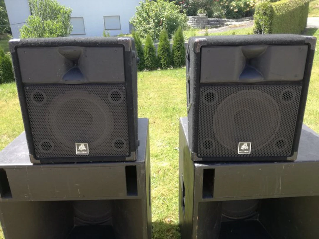 Bullfrog Passive PA speaker