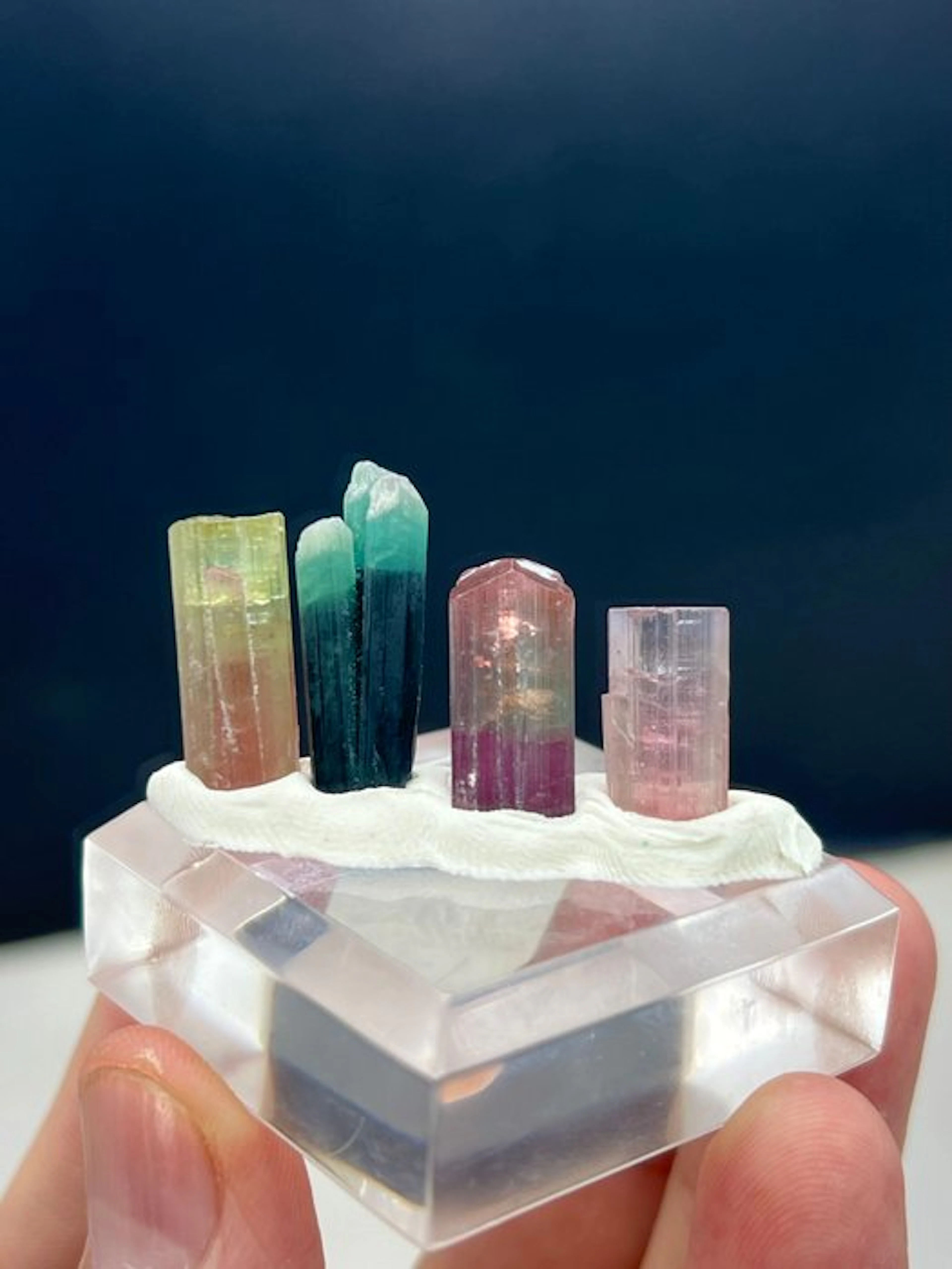 Bicolour tourmaline Crystals - Height: 23 mm - Width: 7 mm- 9 g - (1)