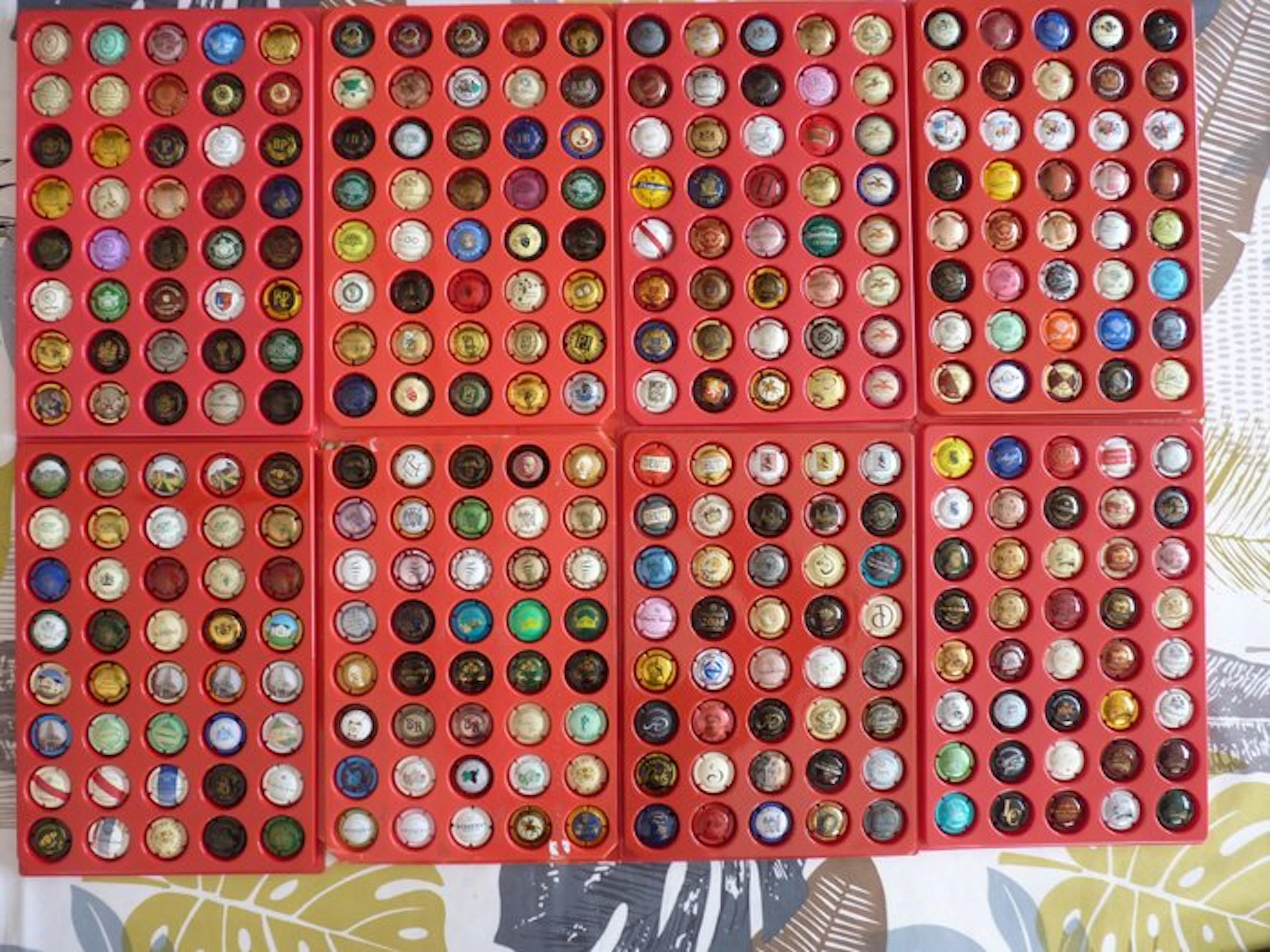 Themed collection - 320 nice champagne capsules (no duplicates