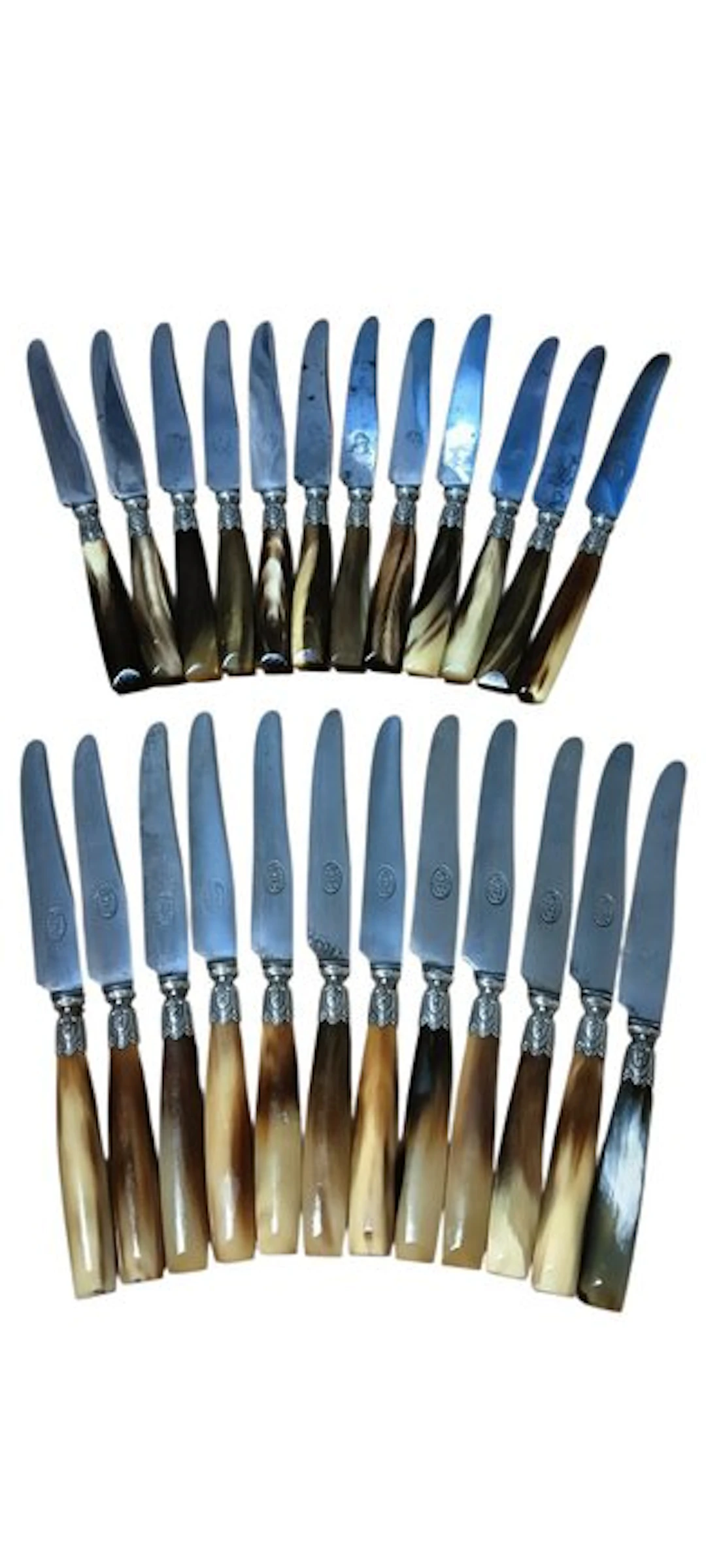 Table knife set (24) - carbon steel, Horn - St. Joanis 39 Garanti