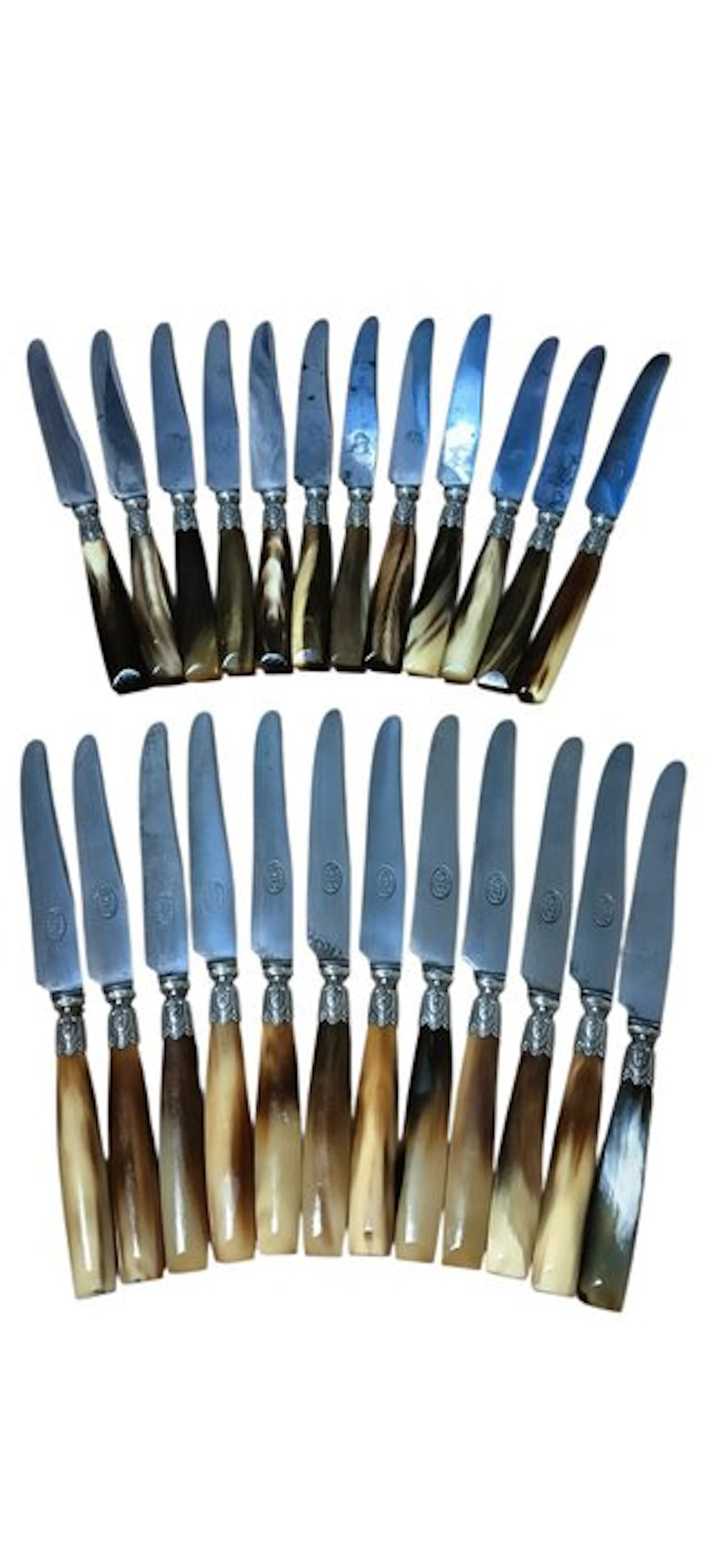 Table knife set (24) - carbon steel, Horn - St. Joanis 39 Garanti