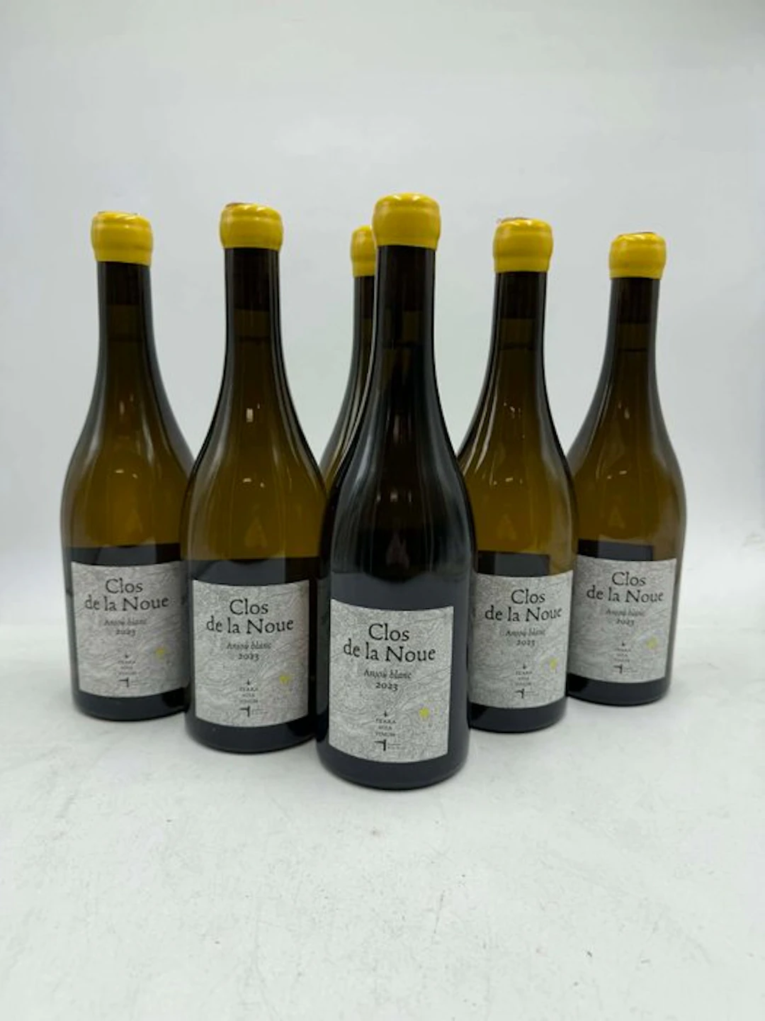 2023 Terra Vita Vinum "Clos de La Noue" - Anjou - 6 Bottles (0.75L)