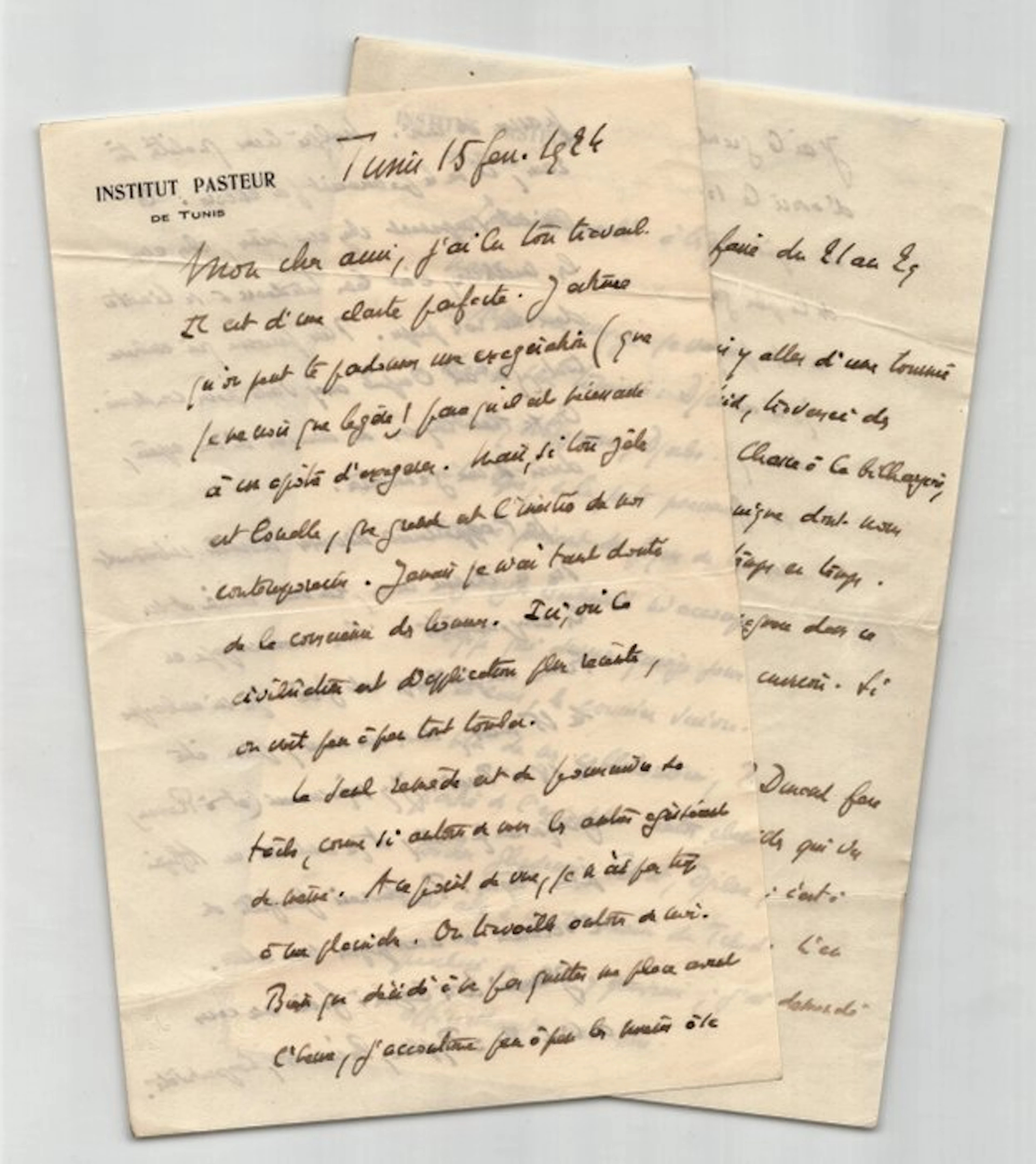 Charles Nicolle - Institut Pasteur - Lettre autographe signée - Typhus