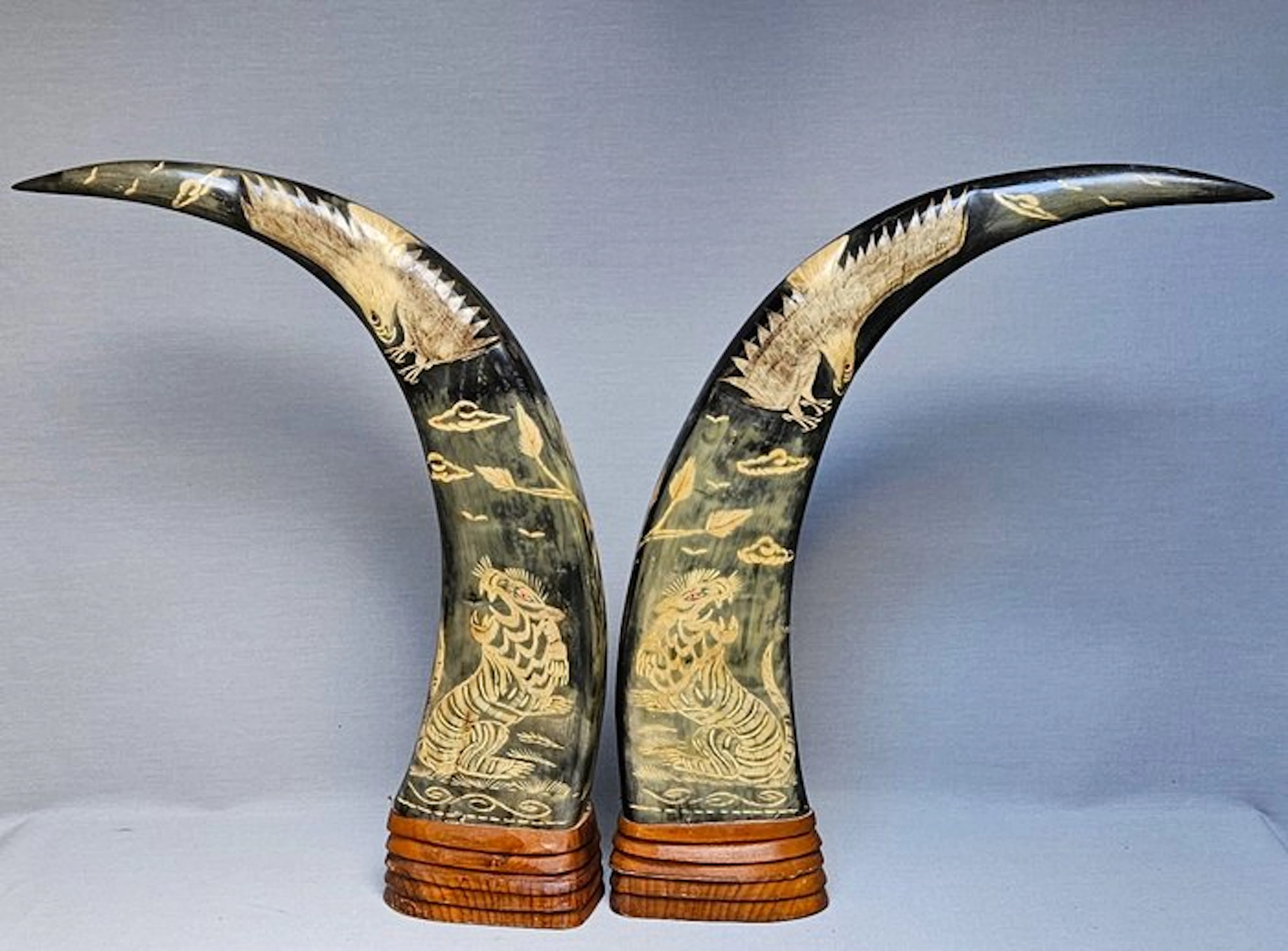 Geen merk - - Horn - Asia