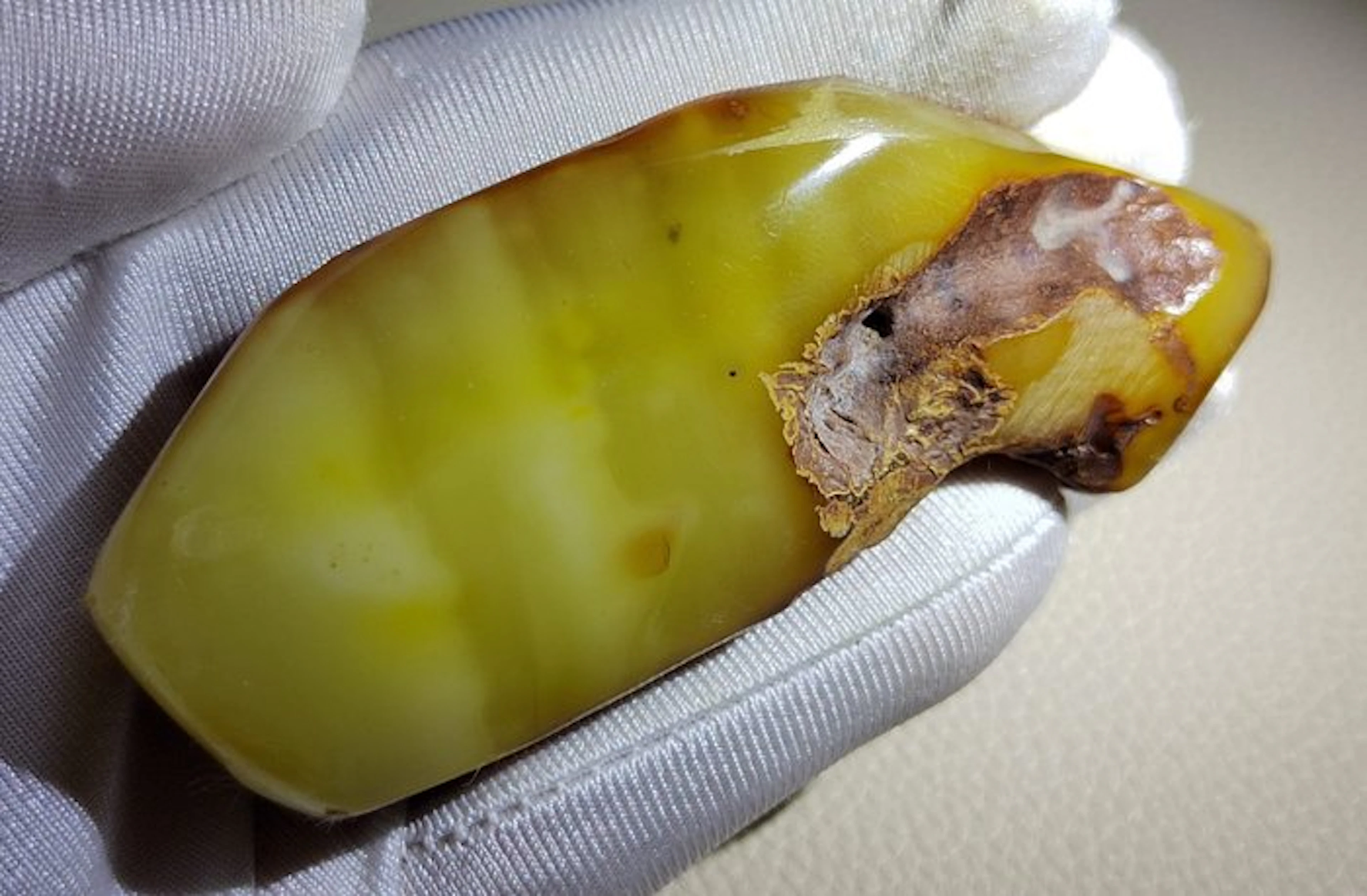 Baltic Amber- High Quality AAA- 35.8 g