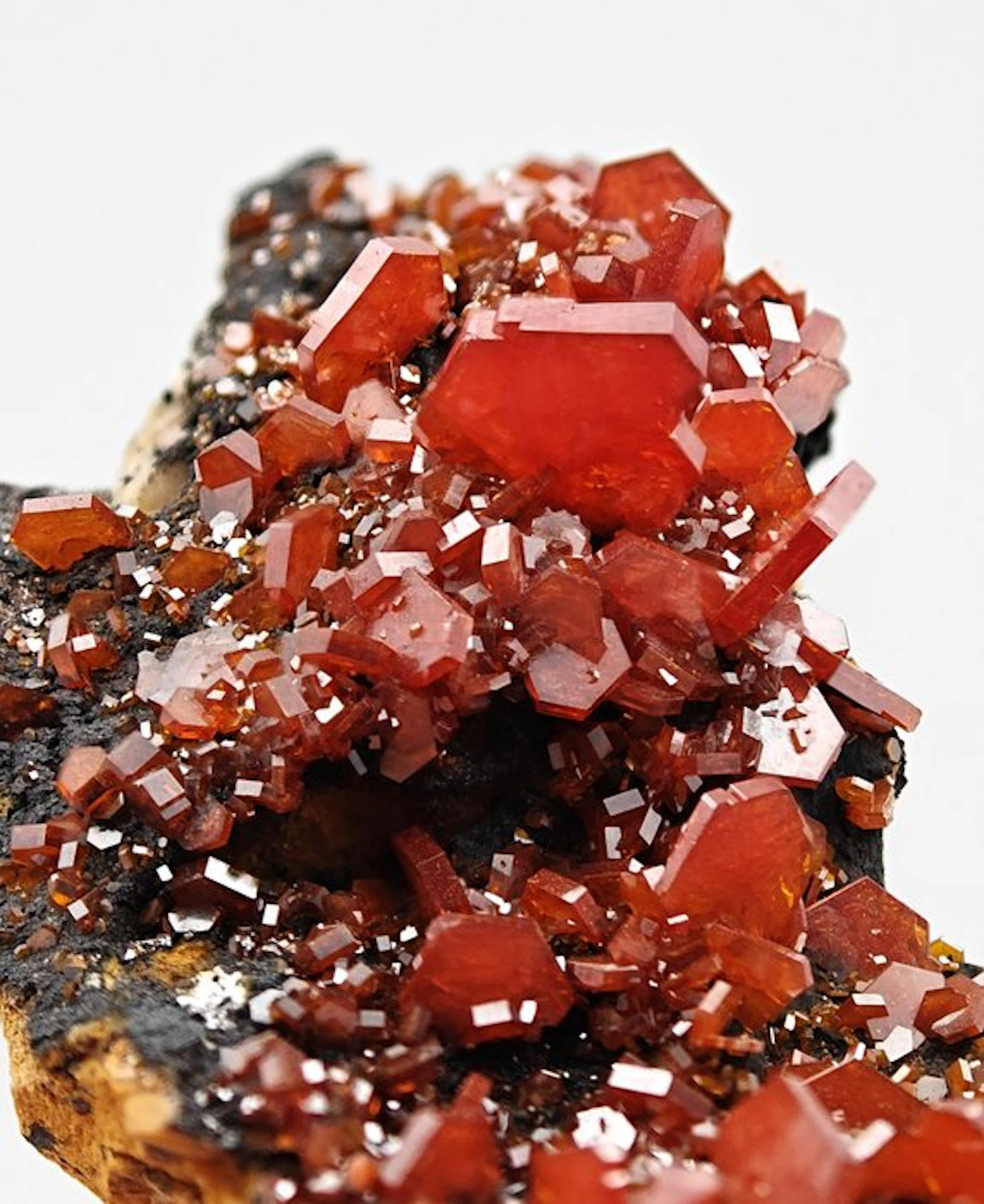 Blood-Red Vanadinite Storm on Goethite Crystals on matrix...