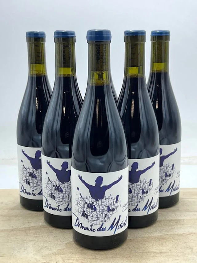 2022 Domaine des Moriers Morgon Charmes - Beaujolais - 6 Bottles (0.75L)