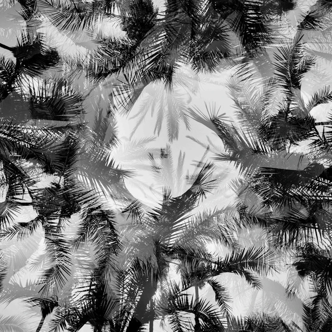 Ben Dauchez - AT majorelle