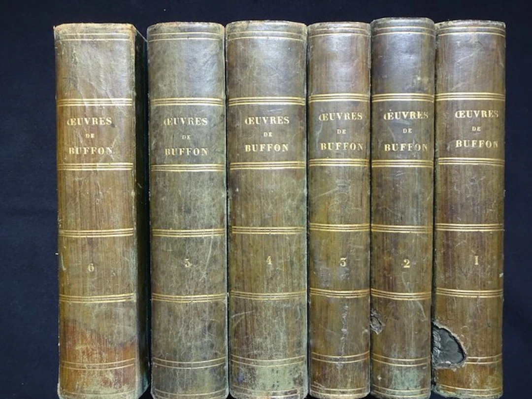 Buffon/Traviès - Oeuvres Complètes de Buffon - 1858-1863