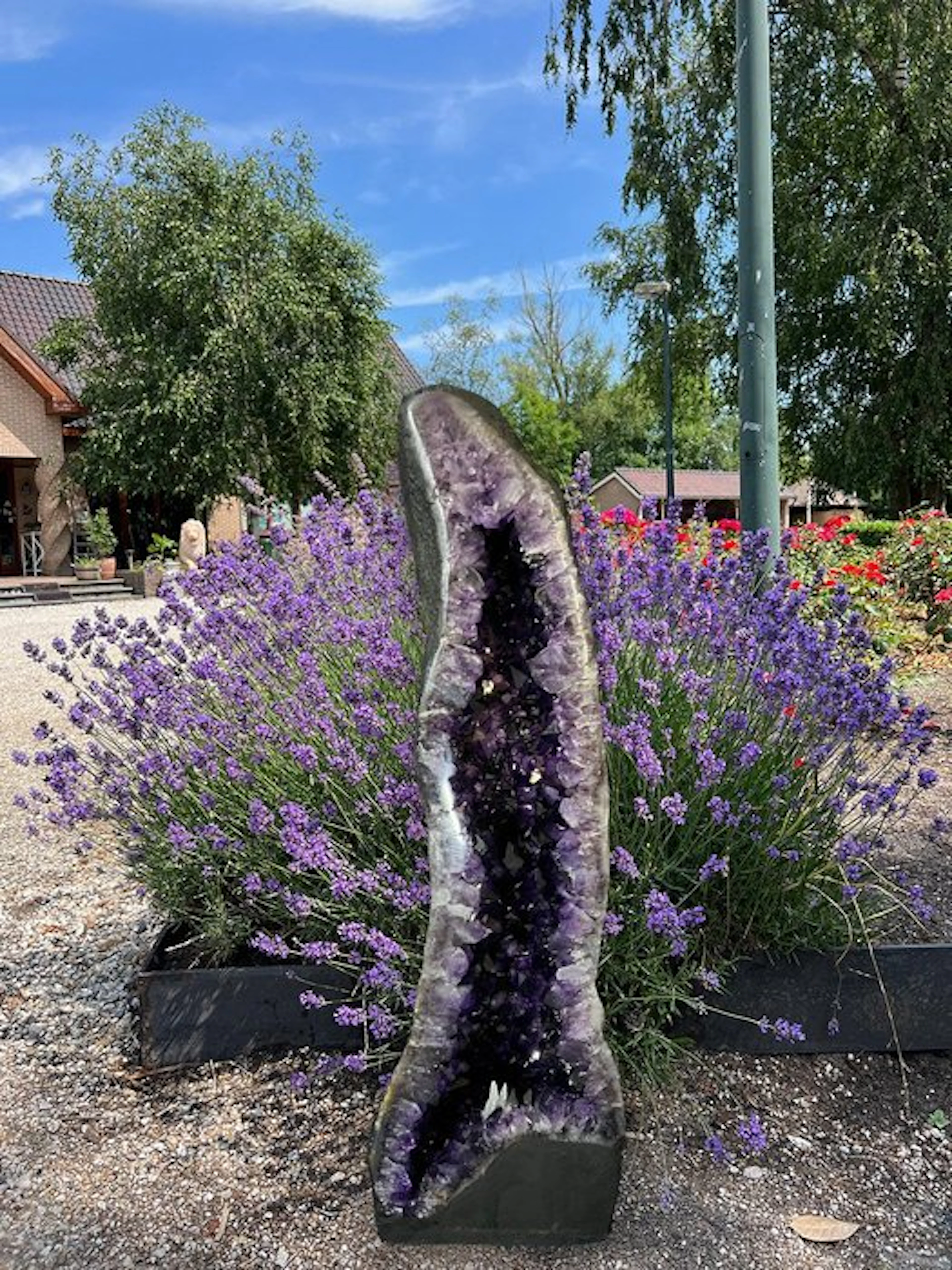 Amethyst Geode - Height: 87 cm - Width: 28 cm- 43 kg - (1)