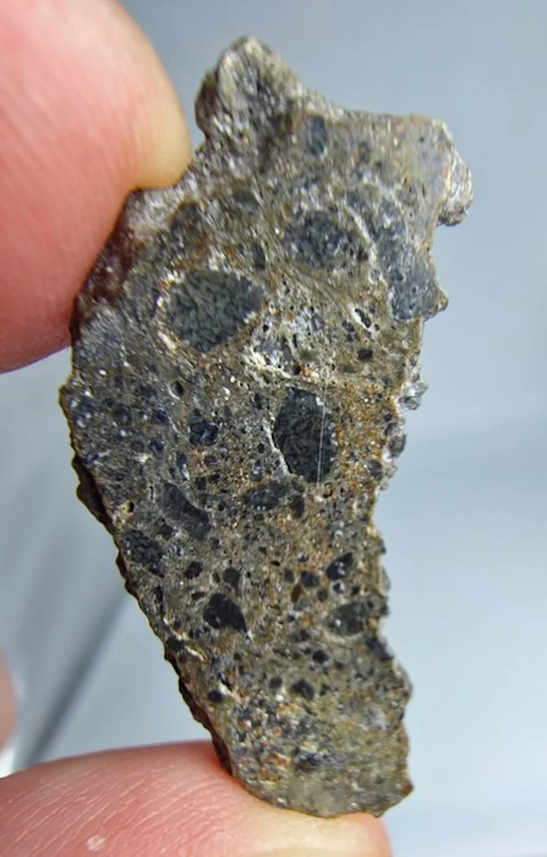 NEA 089, Lunar troctolitic anorthosite melt breccia