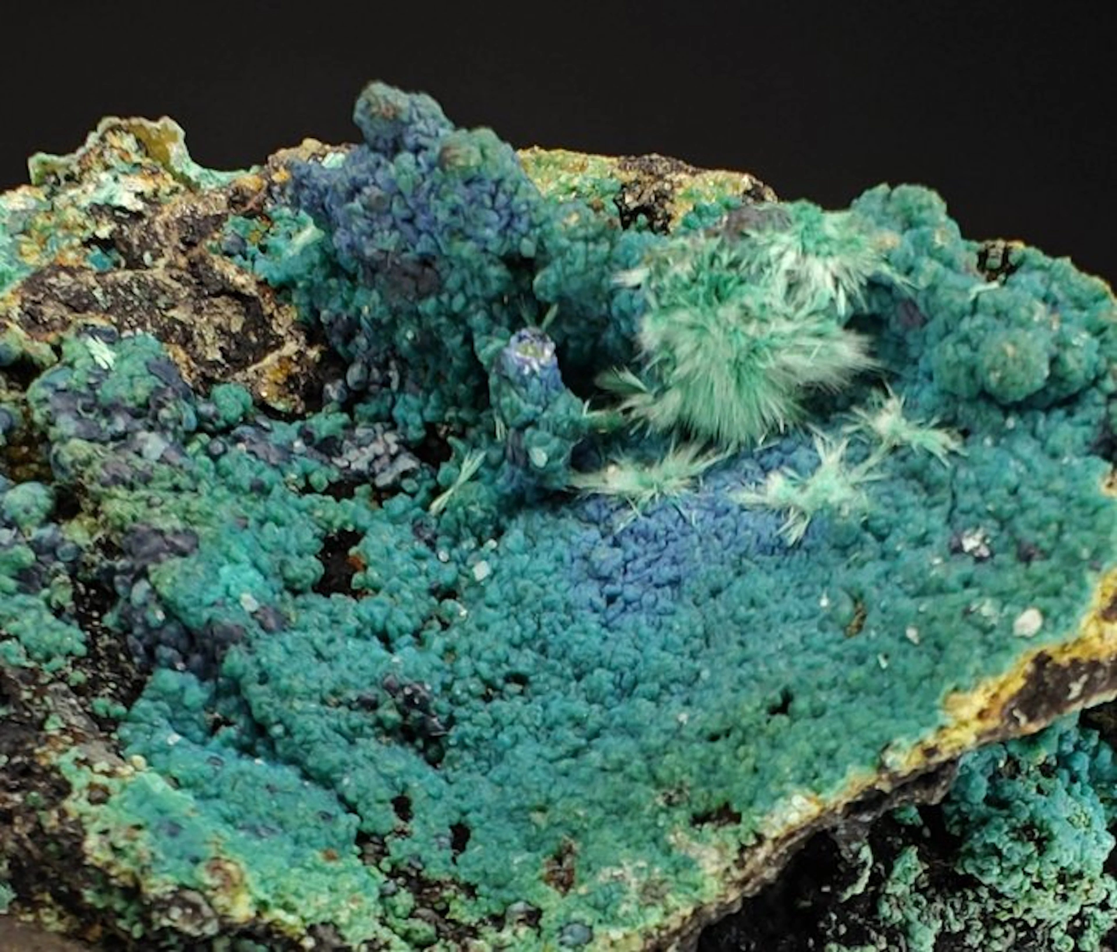 Crisocolla & Auricalcite from Kelly Mine