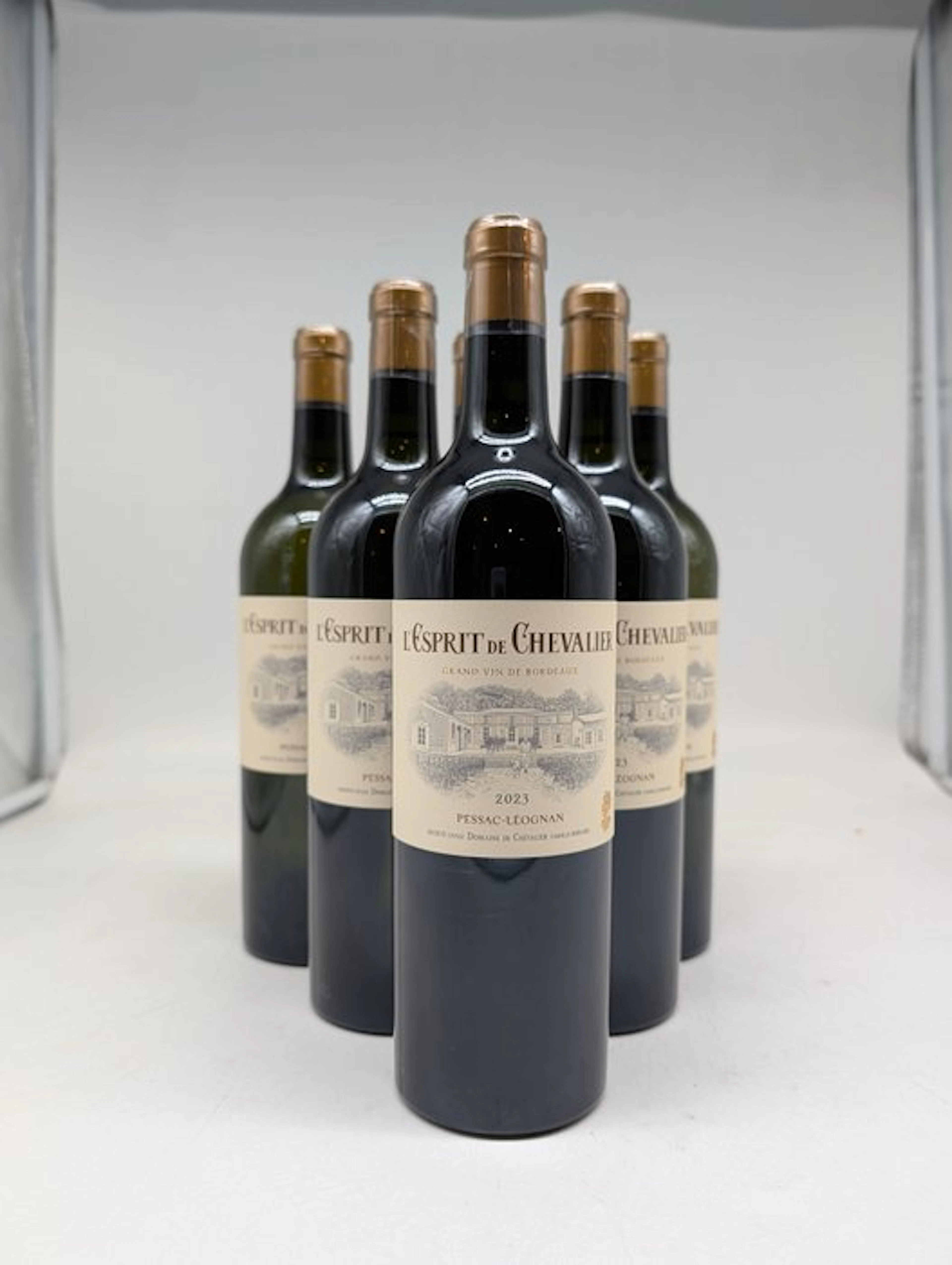 2023 l'Esprit de Chevalier (blanc)