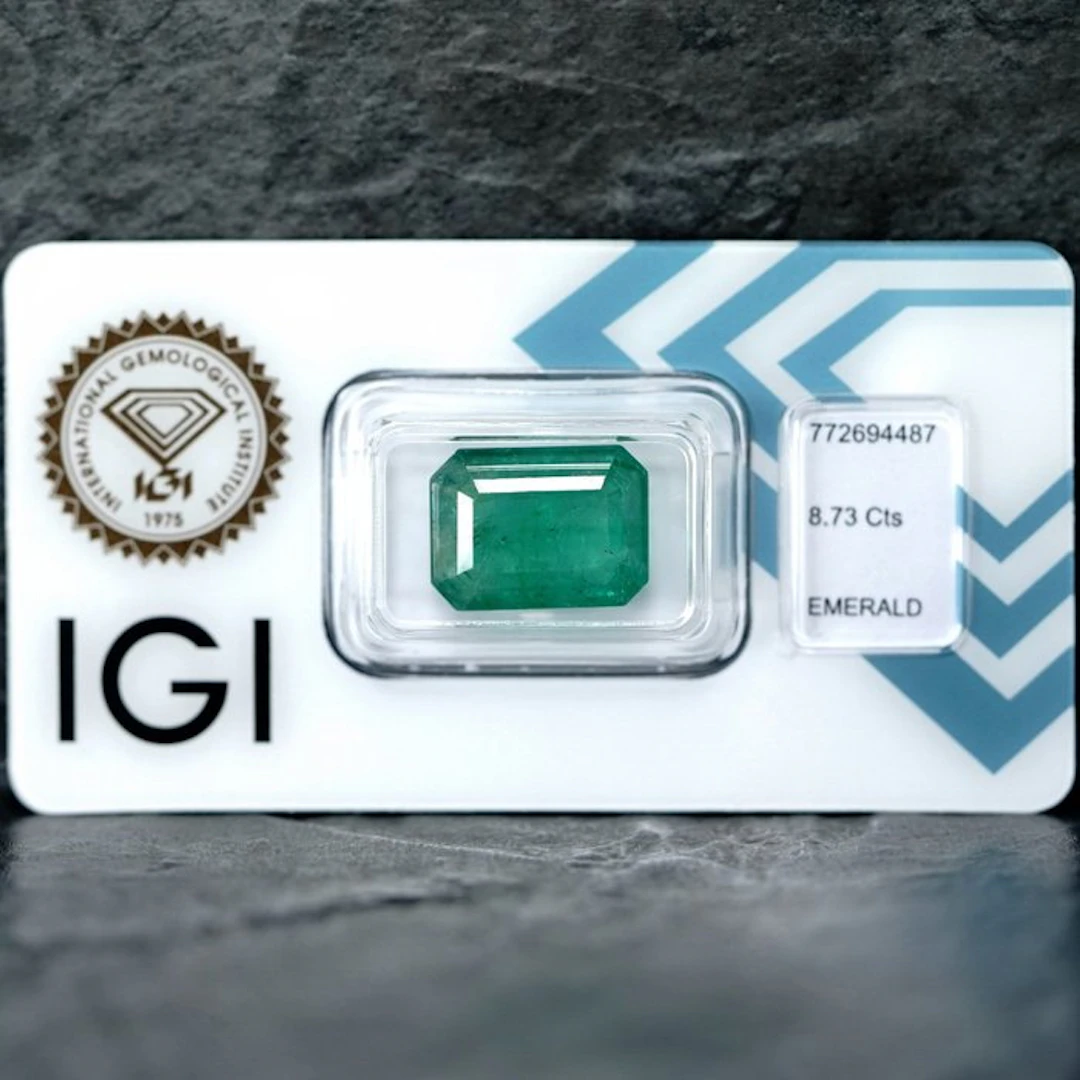 1 pcs Green Emerald - 8.73 ct - International Gemological Institute (IGI)