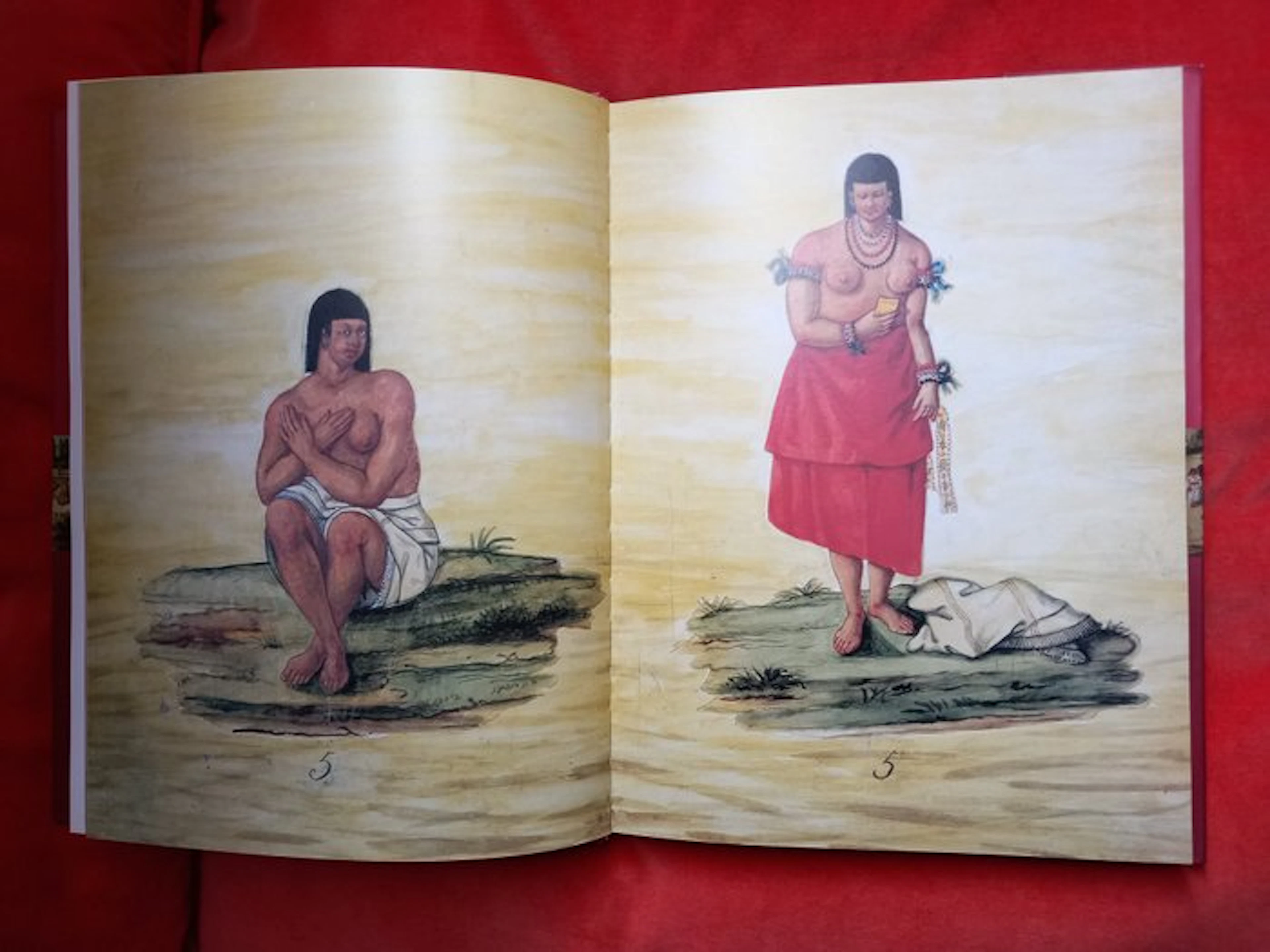 Amazonia - Lot with 3 books - 1988-2012