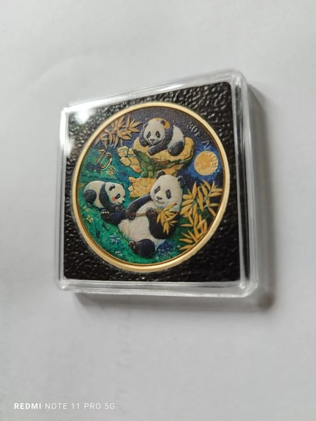 China. 10 Yuan 2025, Chinese Panda, 1 Oz (No reserve price)