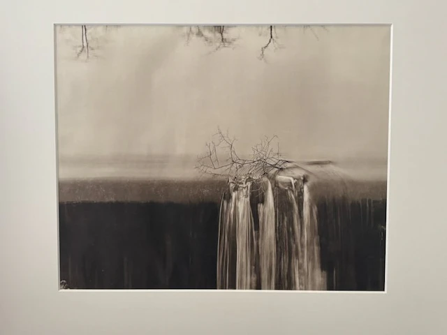 Koichiro Kurita - Fall. Mystic, CT.