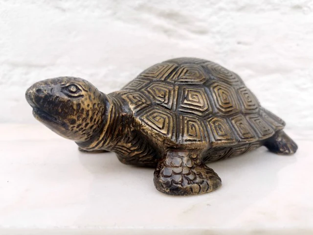 Statuette, Schildpad - 22 cm - Bronze
