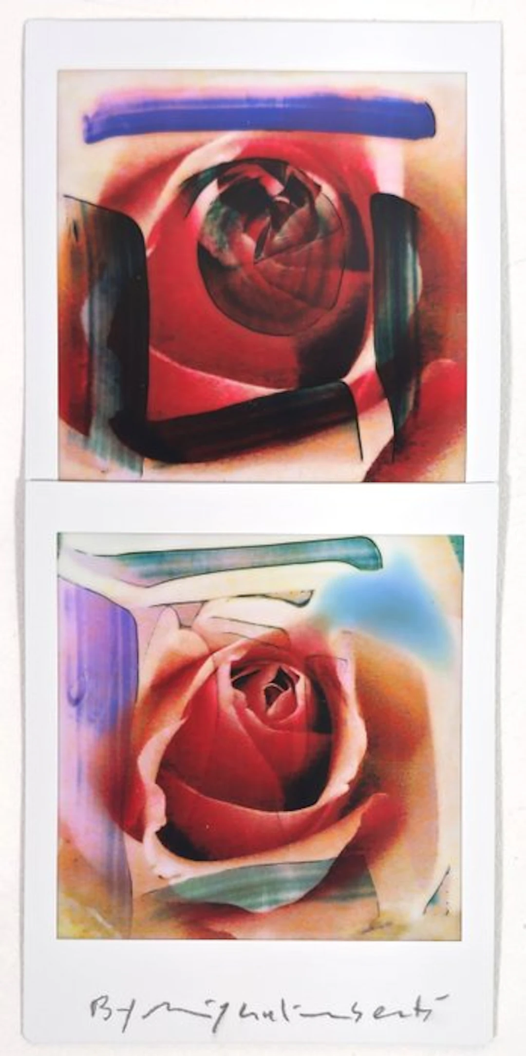 Maurizio Galimberti (1956–) - BiFlowers - 11590